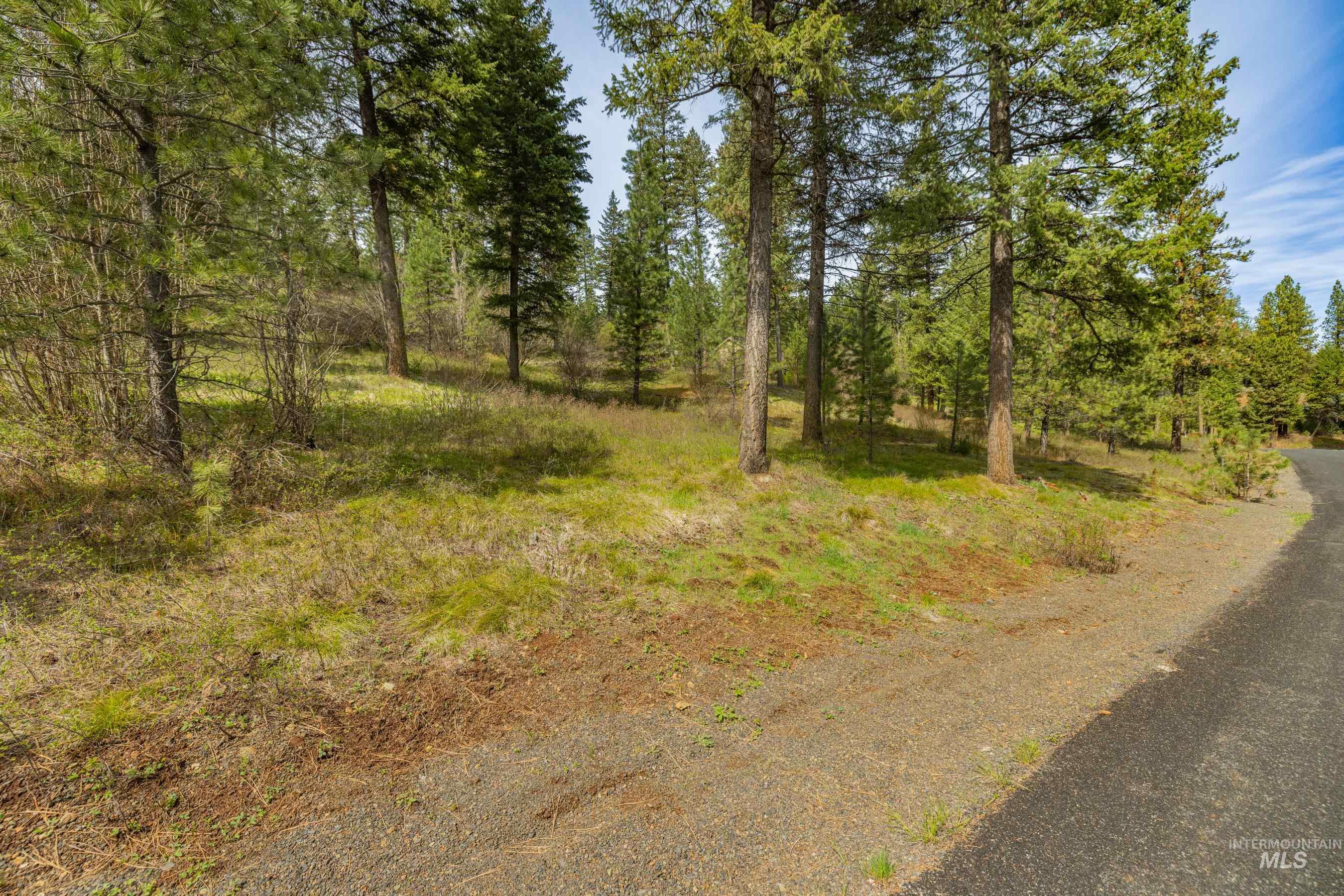 L5B28 Sorrel Dr, New Meadows, Idaho 83654, Land For Sale, Price $149,900,MLS 98982873