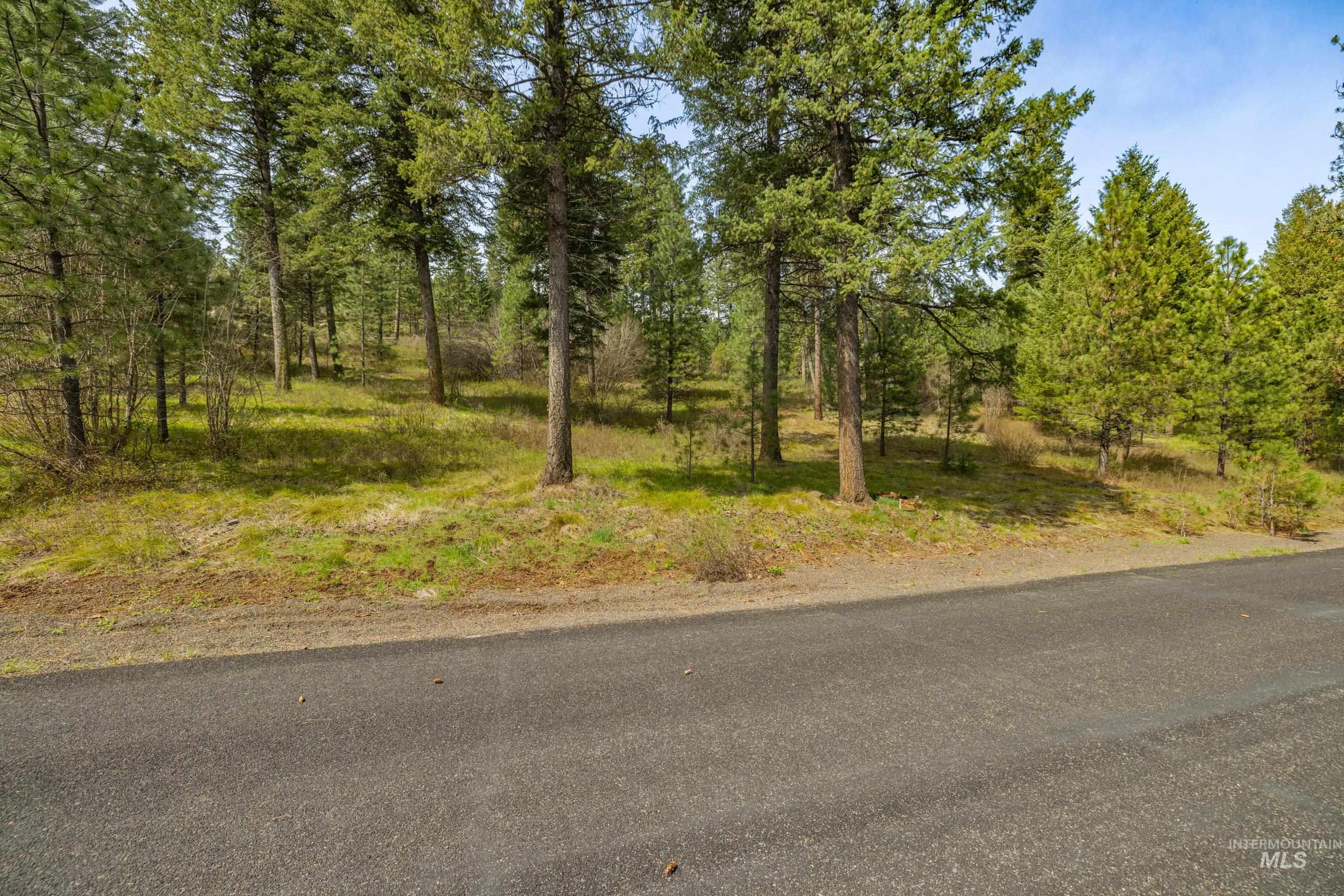 L5B28 Sorrel Dr, New Meadows, Idaho 83654, Land For Sale, Price $149,900,MLS 98982873