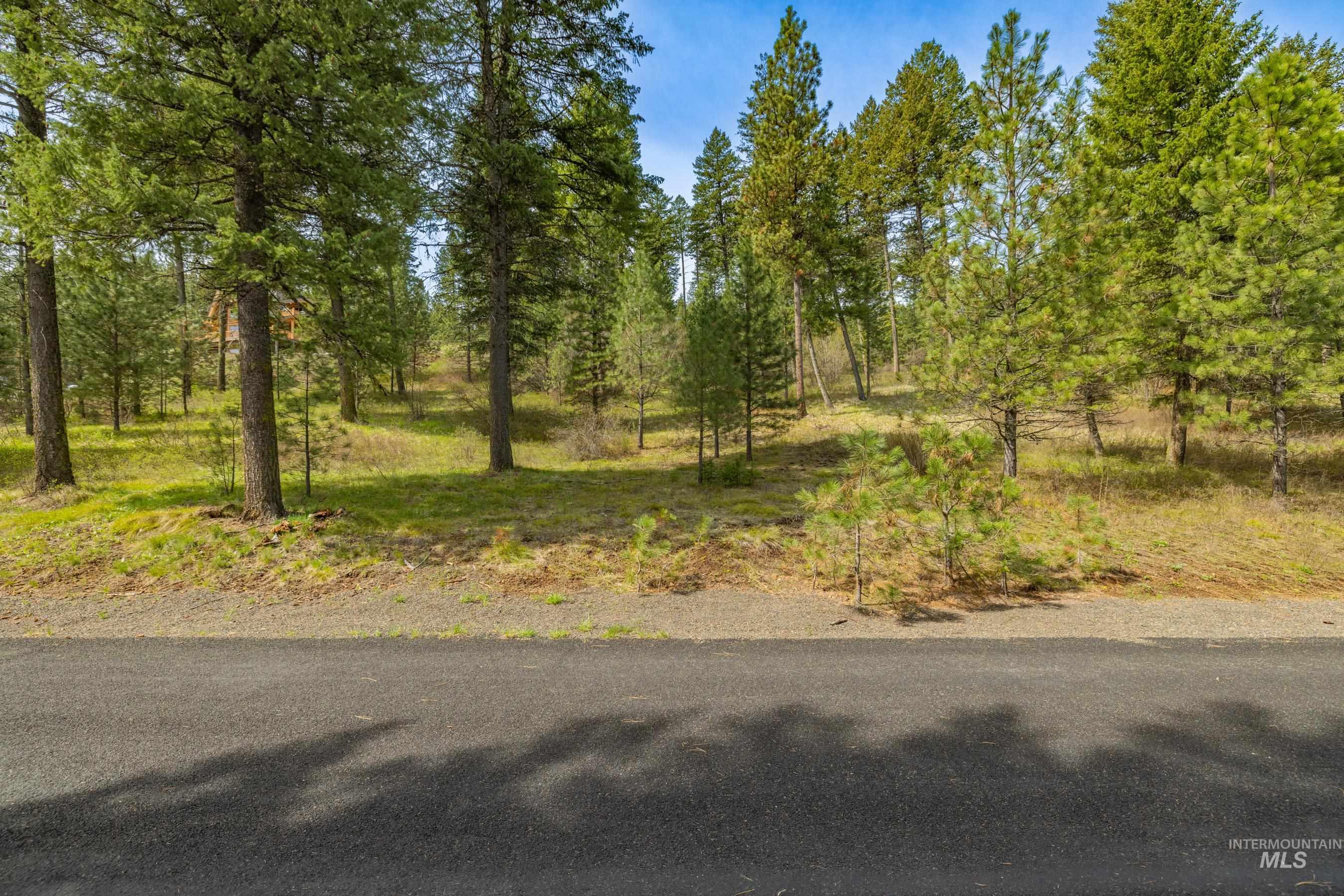 L5B28 Sorrel Dr, New Meadows, Idaho 83654, Land For Sale, Price $149,900,MLS 98982873
