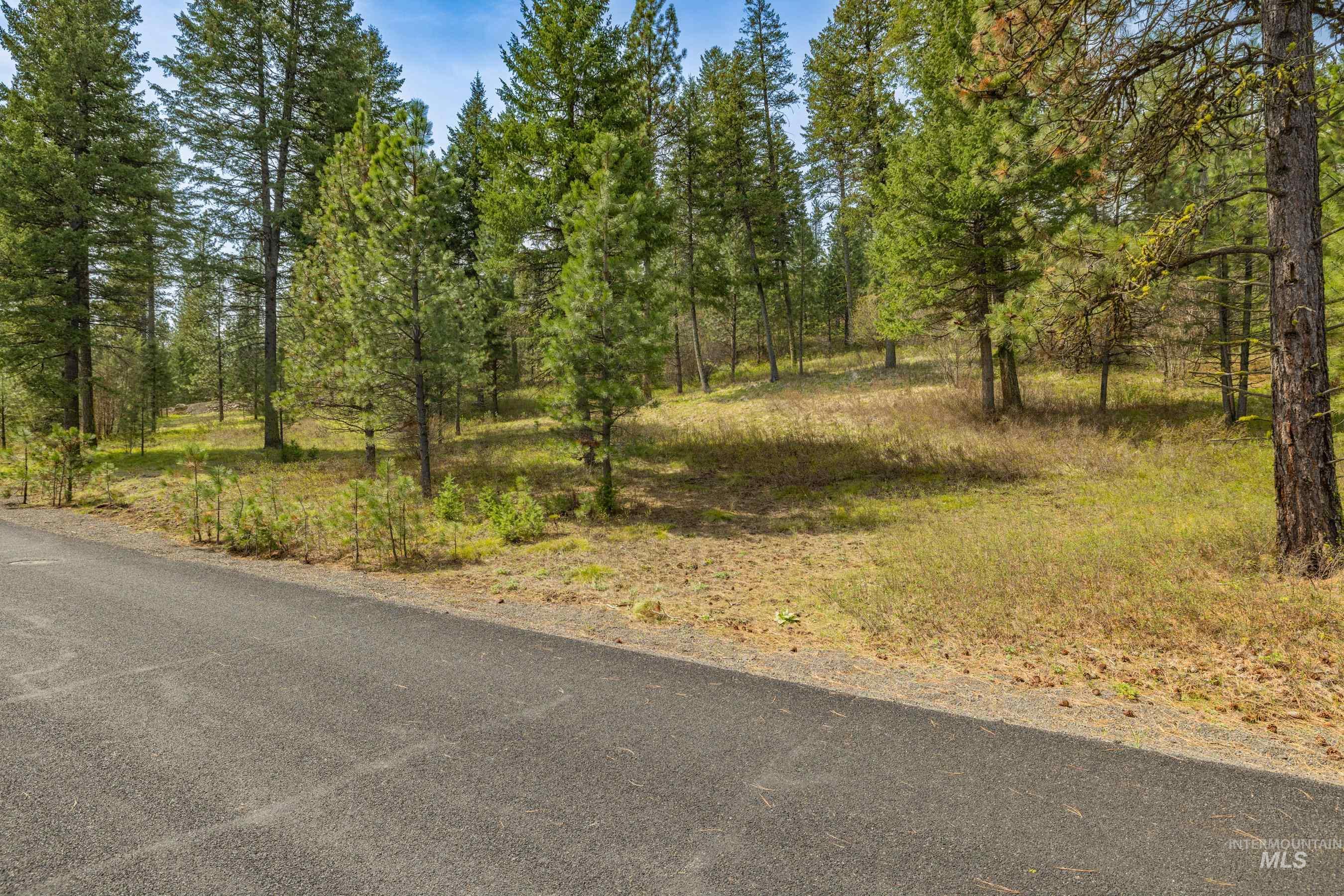 L5B28 Sorrel Dr, New Meadows, Idaho 83654, Land For Sale, Price $149,900,MLS 98982873