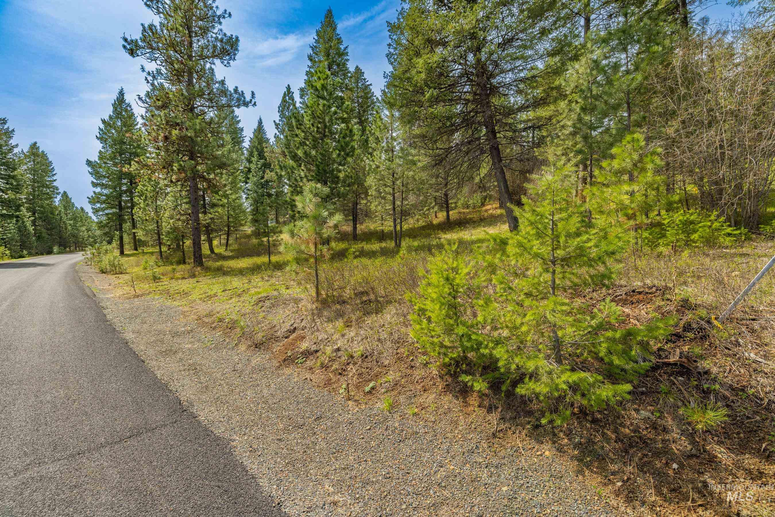 L5B28 Sorrel Dr, New Meadows, Idaho 83654, Land For Sale, Price $149,900,MLS 98982873