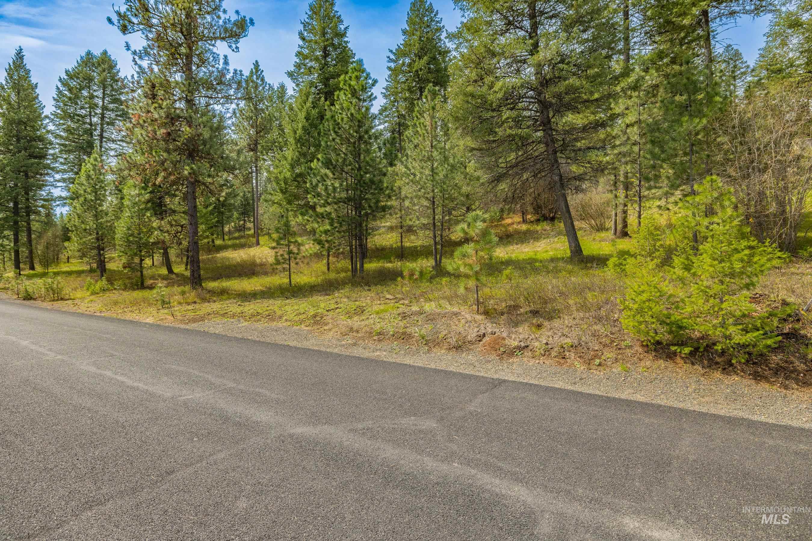 L5B28 Sorrel Dr, New Meadows, Idaho 83654, Land For Sale, Price $149,900,MLS 98982873