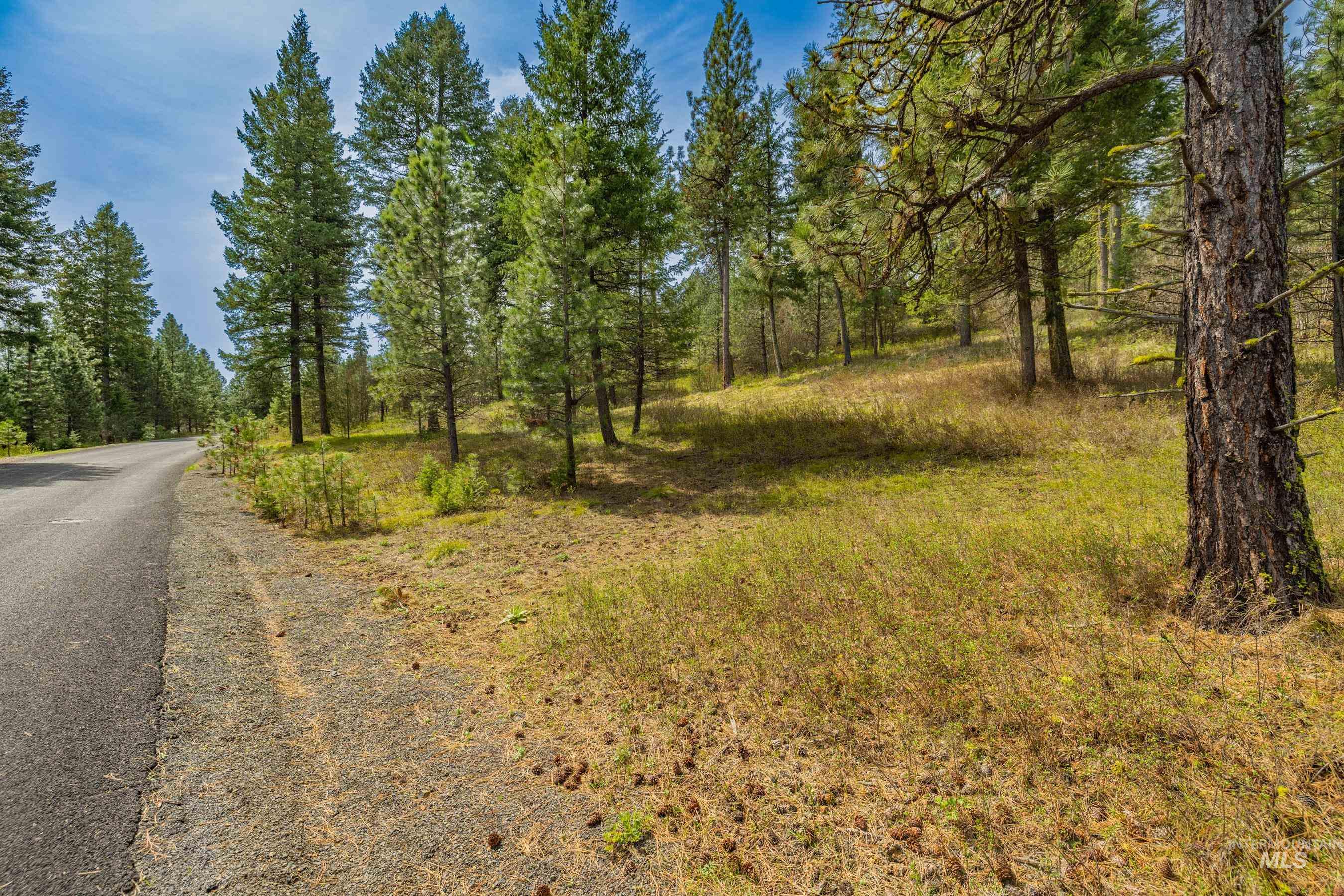 L5B28 Sorrel Dr, New Meadows, Idaho 83654, Land For Sale, Price $149,900,MLS 98982873
