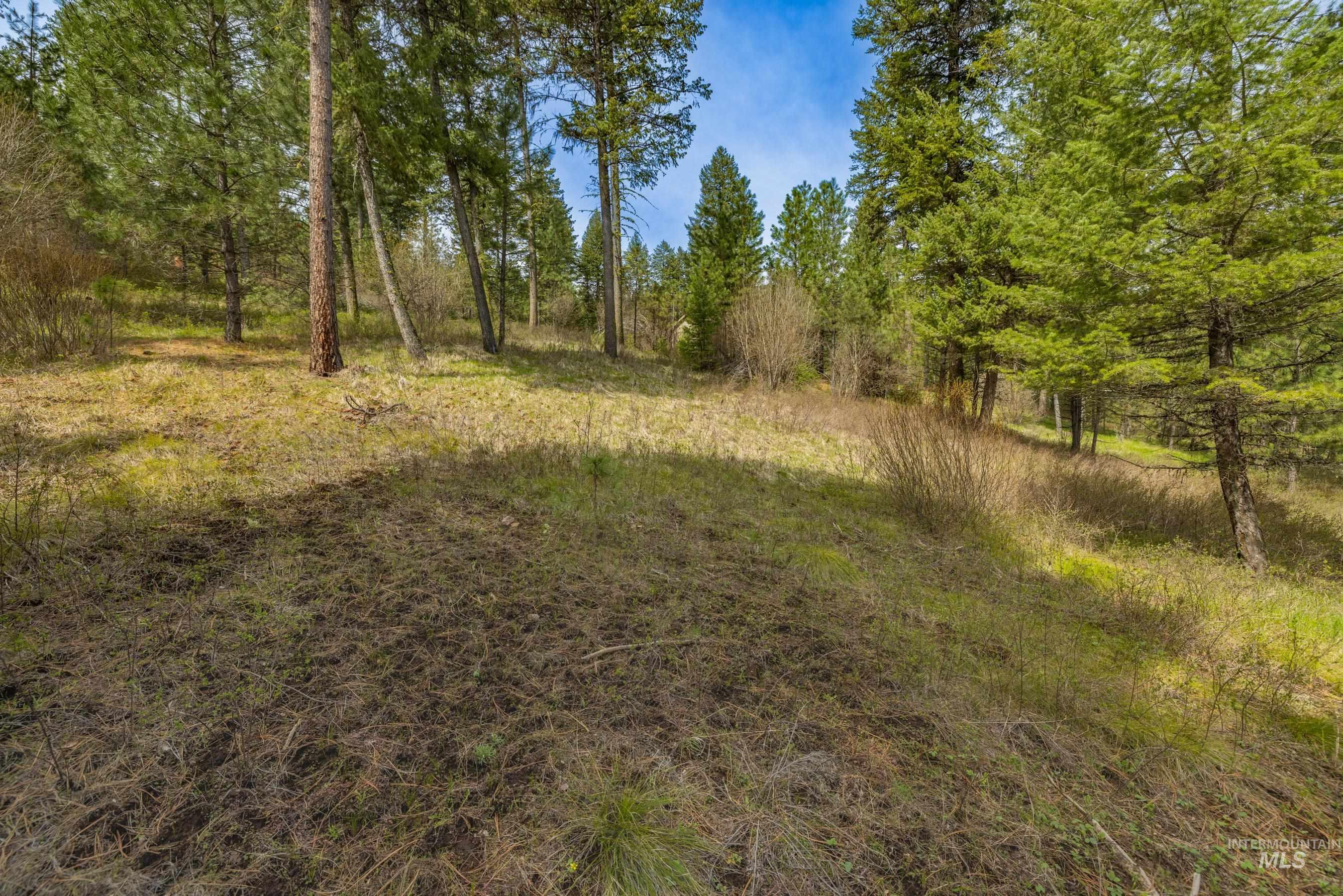 L5B28 Sorrel Dr, New Meadows, Idaho 83654, Land For Sale, Price $149,900,MLS 98982873