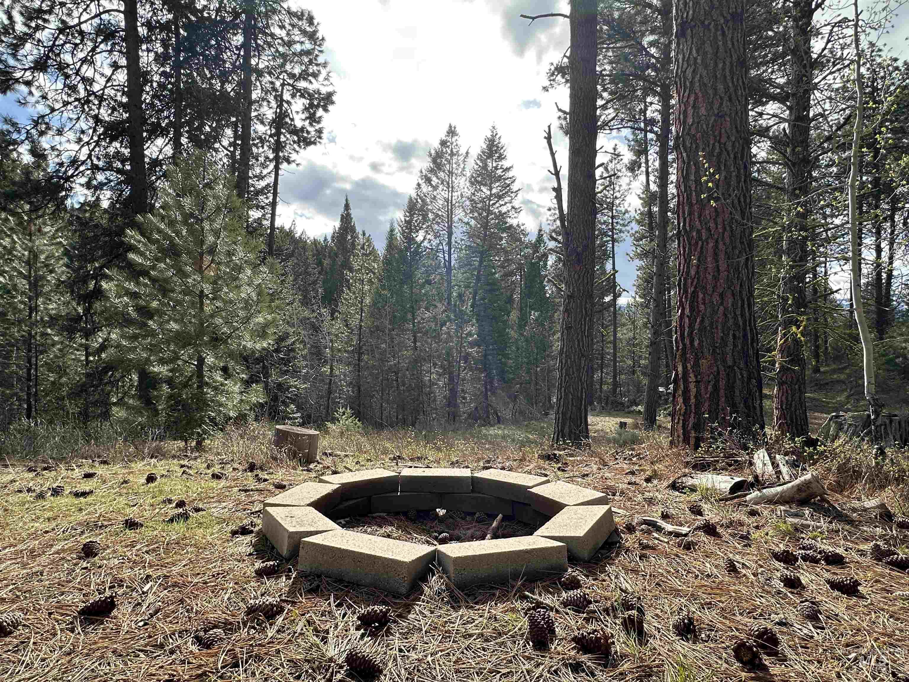 13 Mountain Air Dr., Cascade, Idaho 83611, Land For Sale, Price $149,000,MLS 98982876