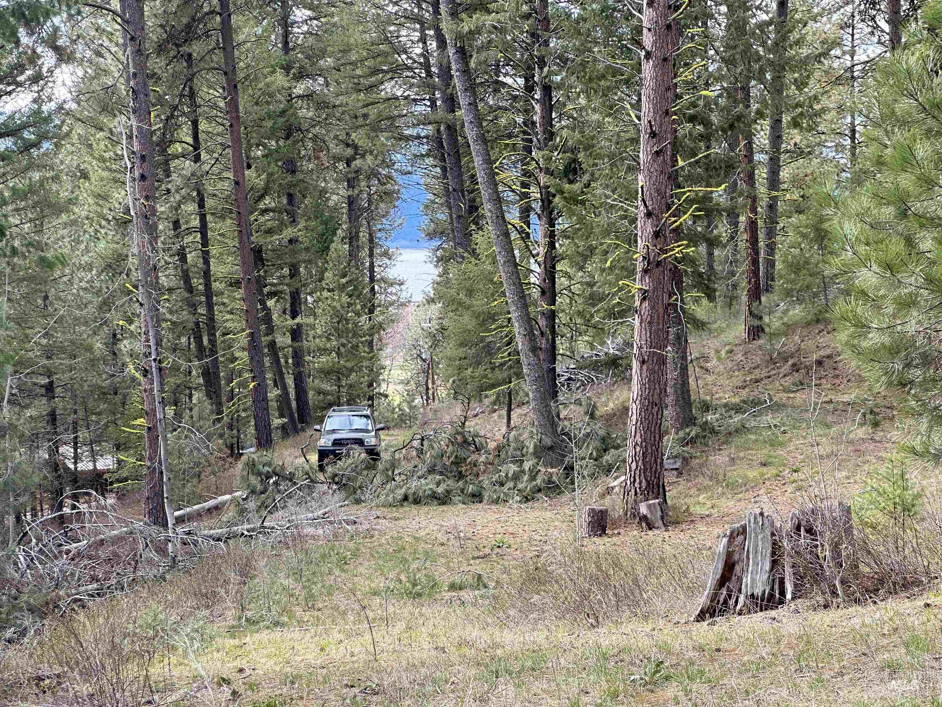 13 Mountain Air Dr., Cascade, Idaho 83611, Land For Sale, Price $149,000,MLS 98982876