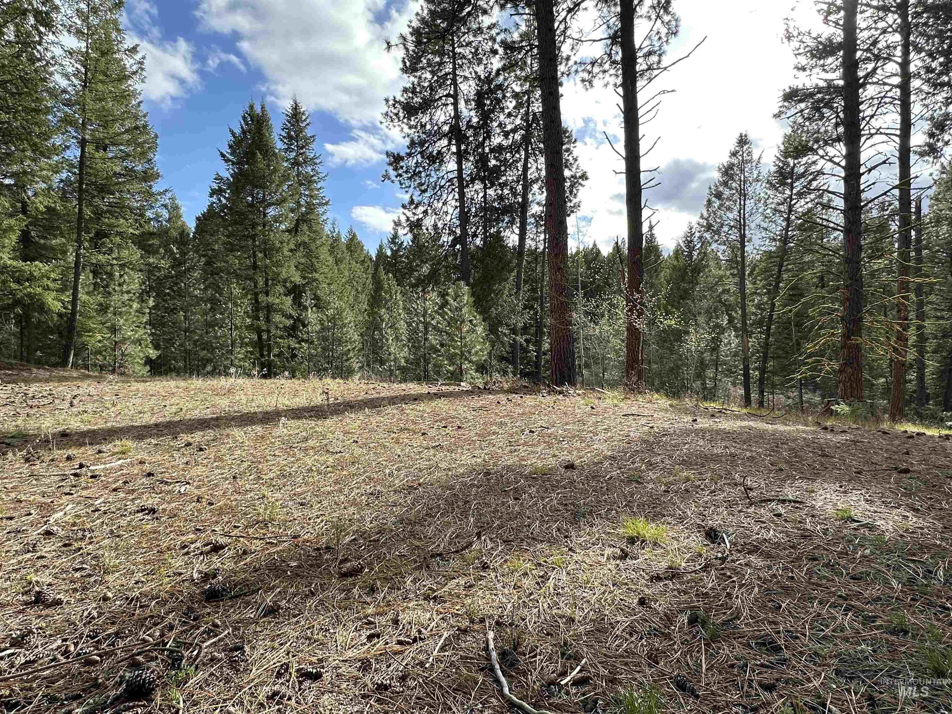 13 Mountain Air Dr., Cascade, Idaho 83611, Land For Sale, Price $149,000,MLS 98982876