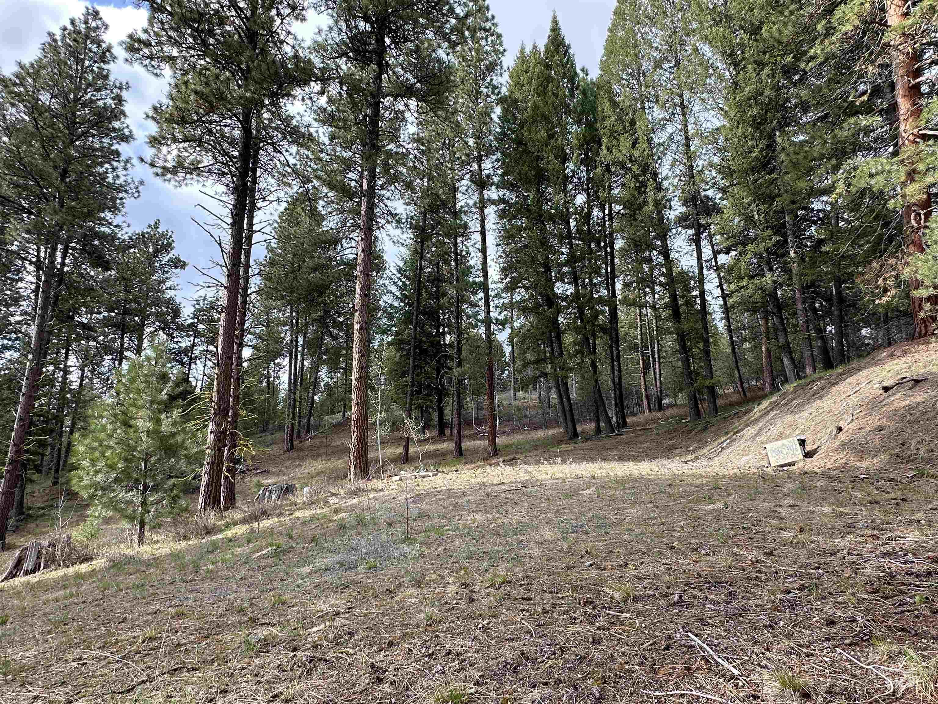 13 Mountain Air Dr., Cascade, Idaho 83611, Land For Sale, Price $149,000,MLS 98982876