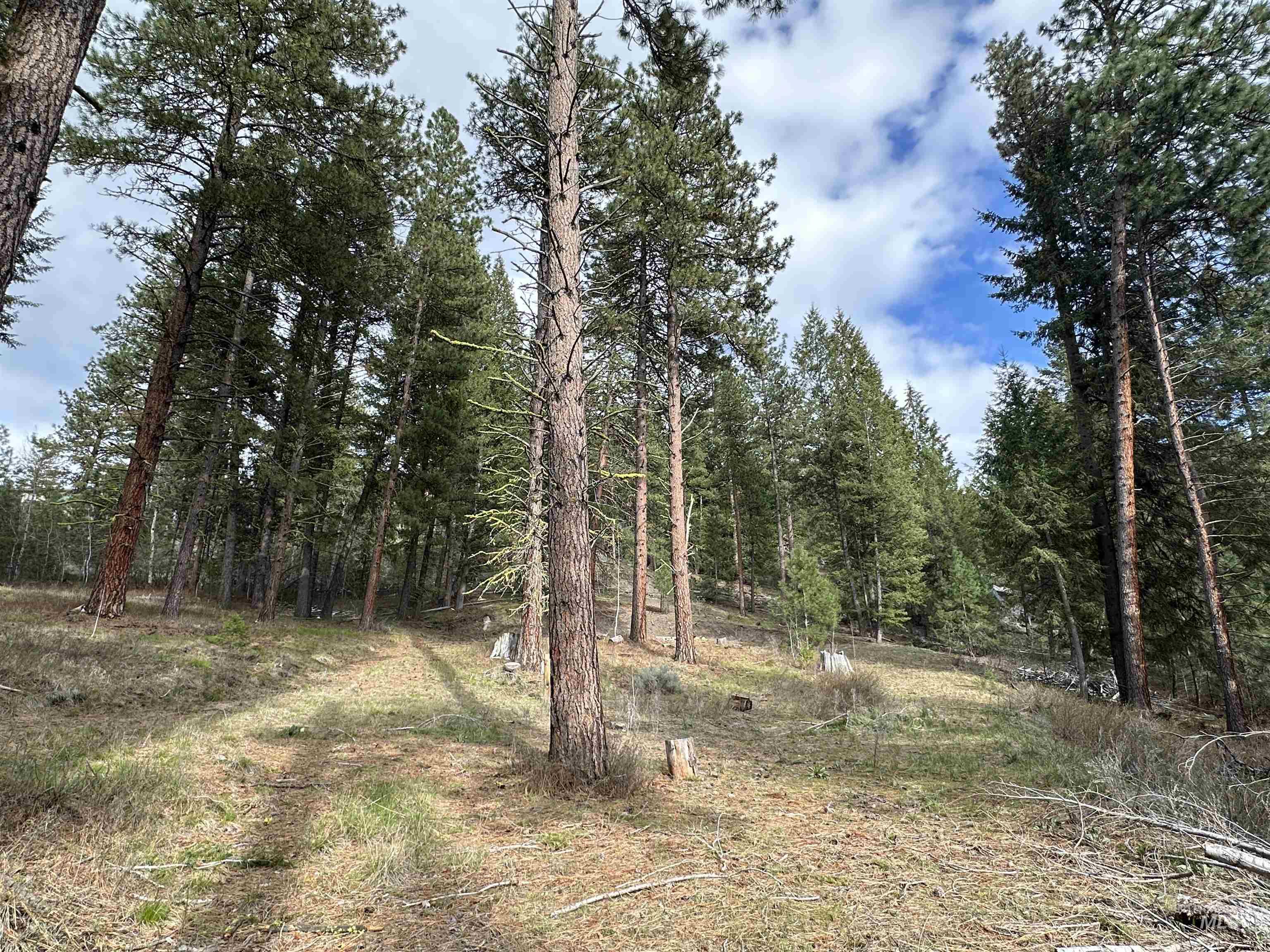 13 Mountain Air Dr., Cascade, Idaho 83611, Land For Sale, Price $149,000,MLS 98982876