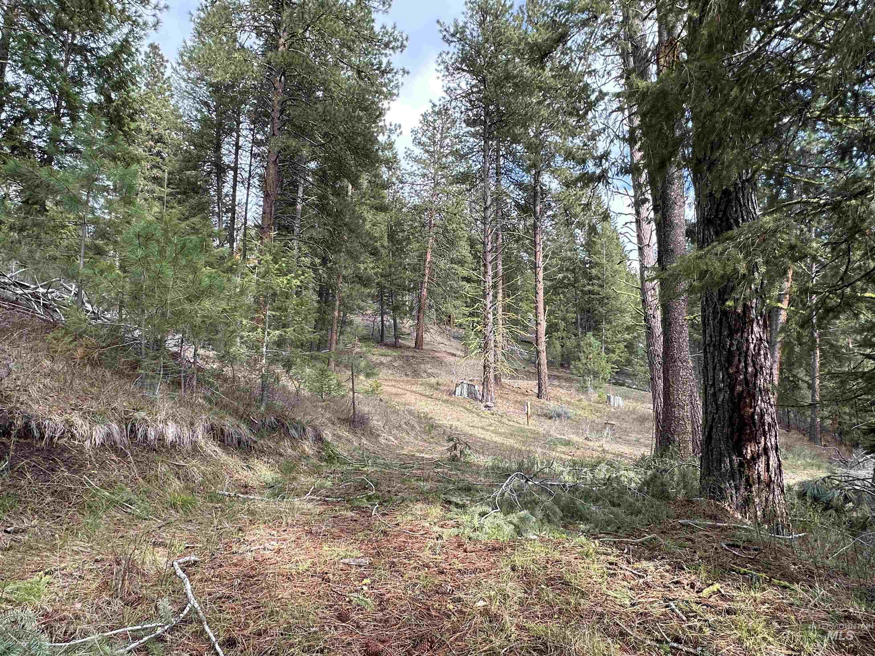 13 Mountain Air Dr., Cascade, Idaho 83611, Land For Sale, Price $149,000,MLS 98982876