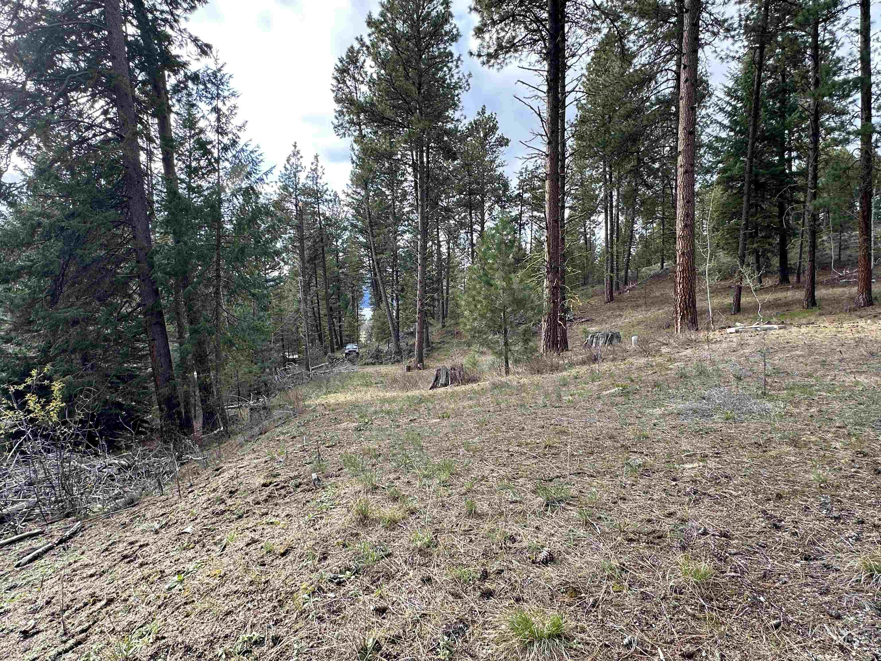 13 Mountain Air Dr., Cascade, Idaho 83611, Land For Sale, Price $149,000,MLS 98982876