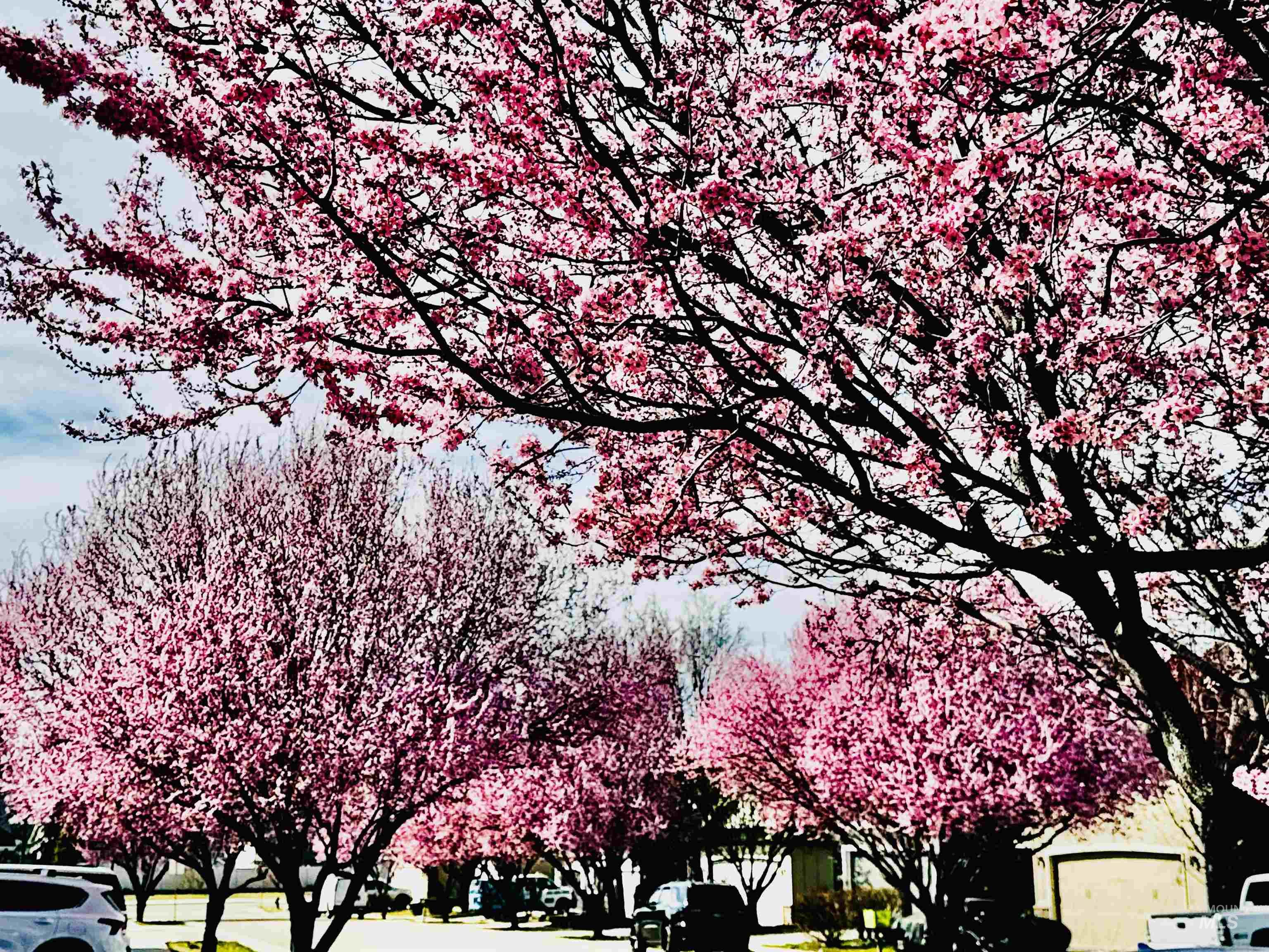 1749 E Sagemoor Drive, Meridian, Idaho 83642, 3 Bedrooms, 2 Bathrooms, Residential For Sale, Price $454,000,MLS 98982878