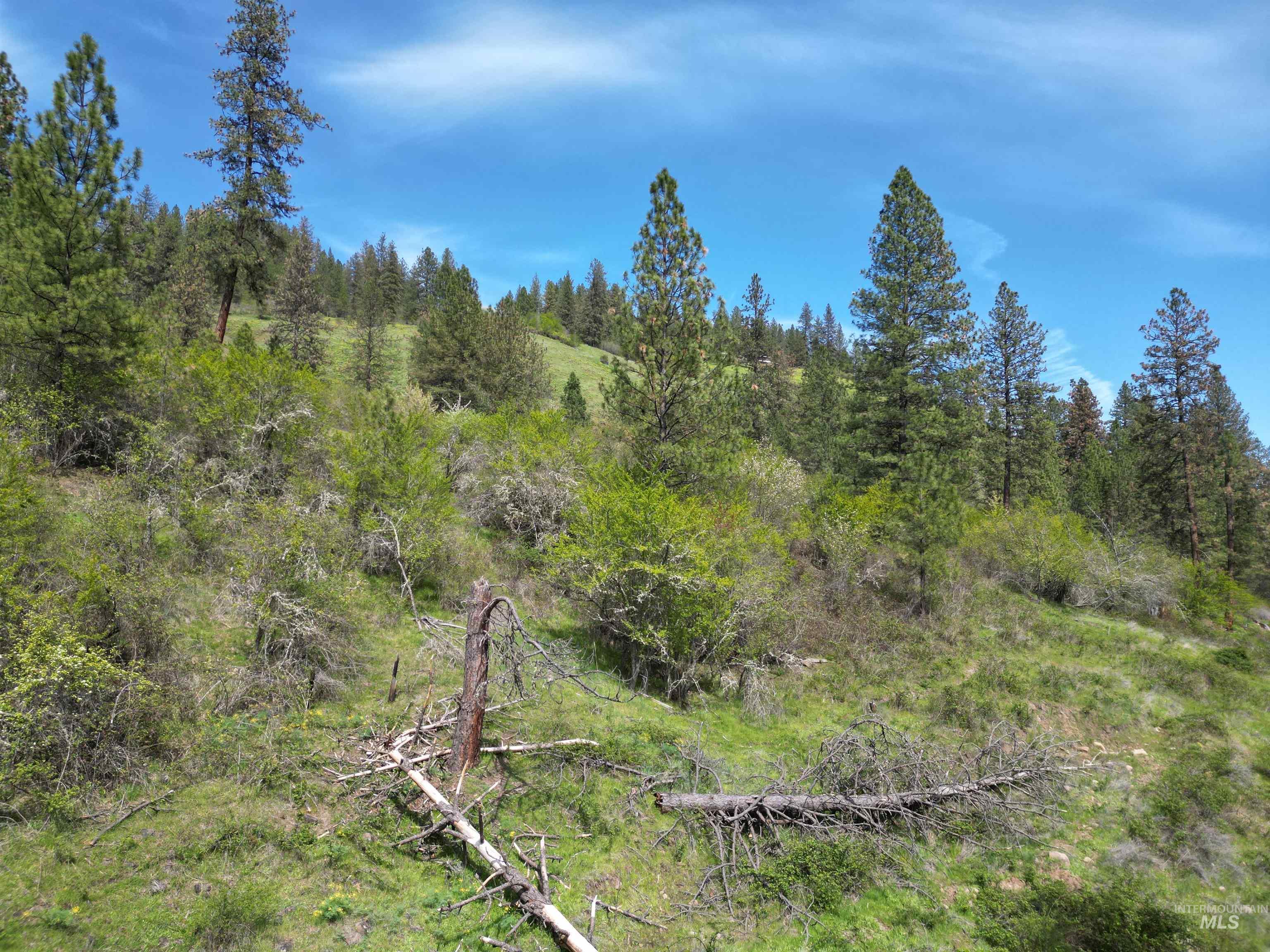 1620 & 0 Forsman Ave, Orofino, Idaho 83544, Land For Sale, Price $160,000,MLS 98982879