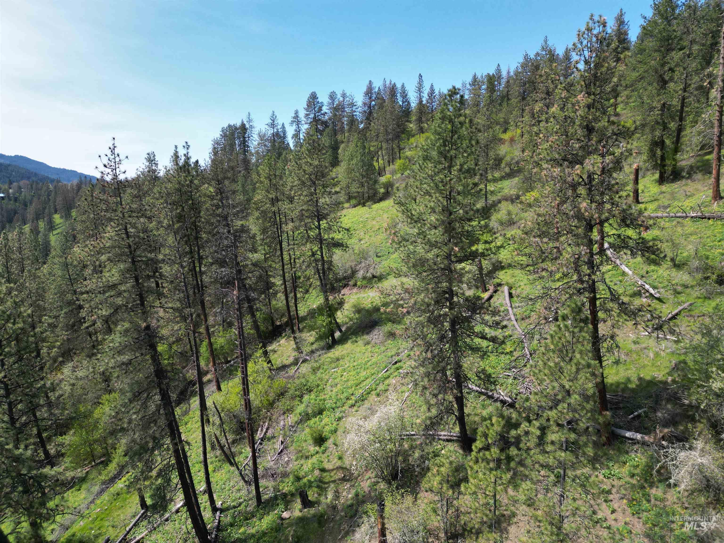 1620 & 0 Forsman Ave, Orofino, Idaho 83544, Land For Sale, Price $160,000,MLS 98982879
