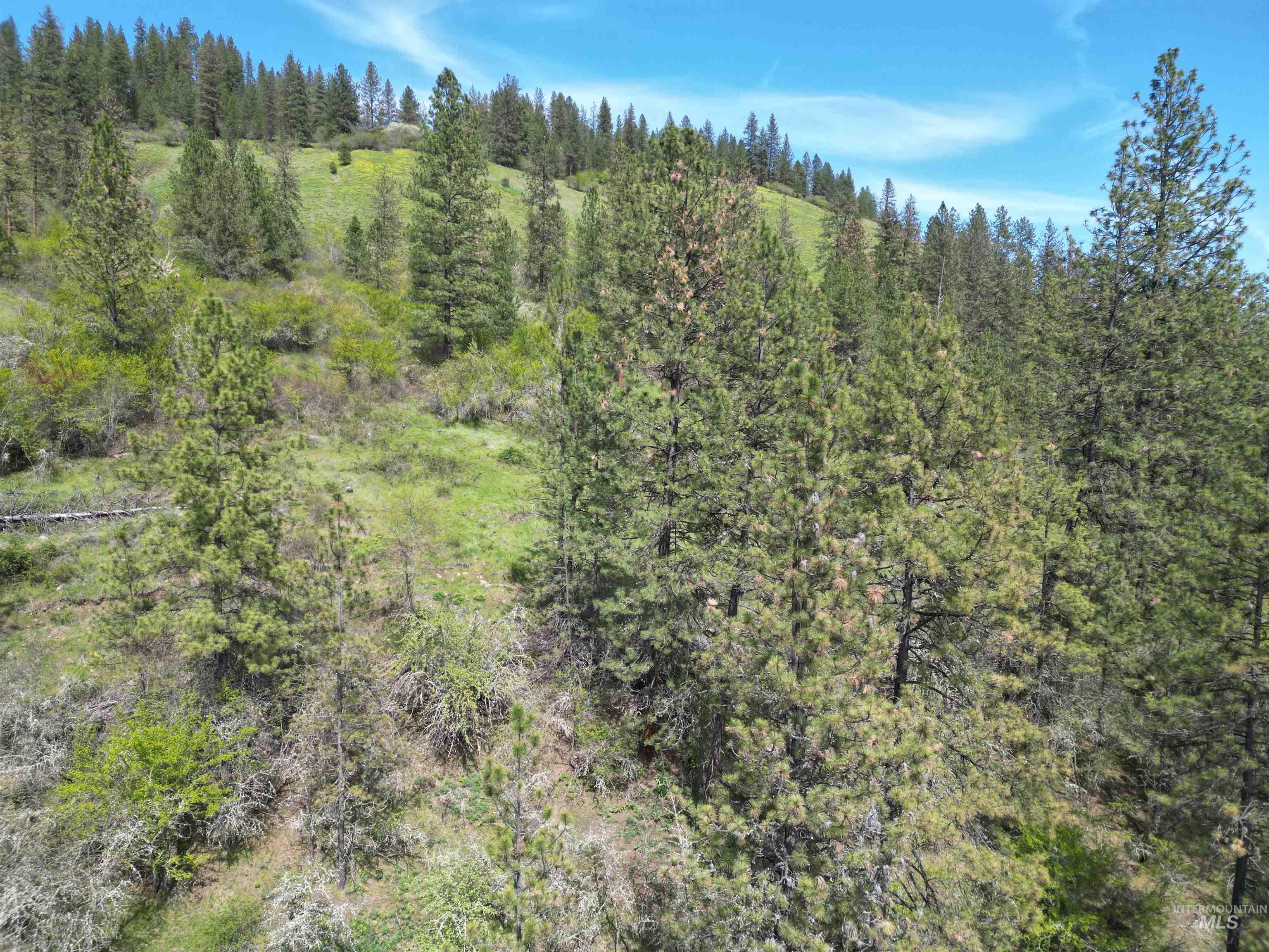 1620 & 0 Forsman Ave, Orofino, Idaho 83544, Land For Sale, Price $160,000,MLS 98982879