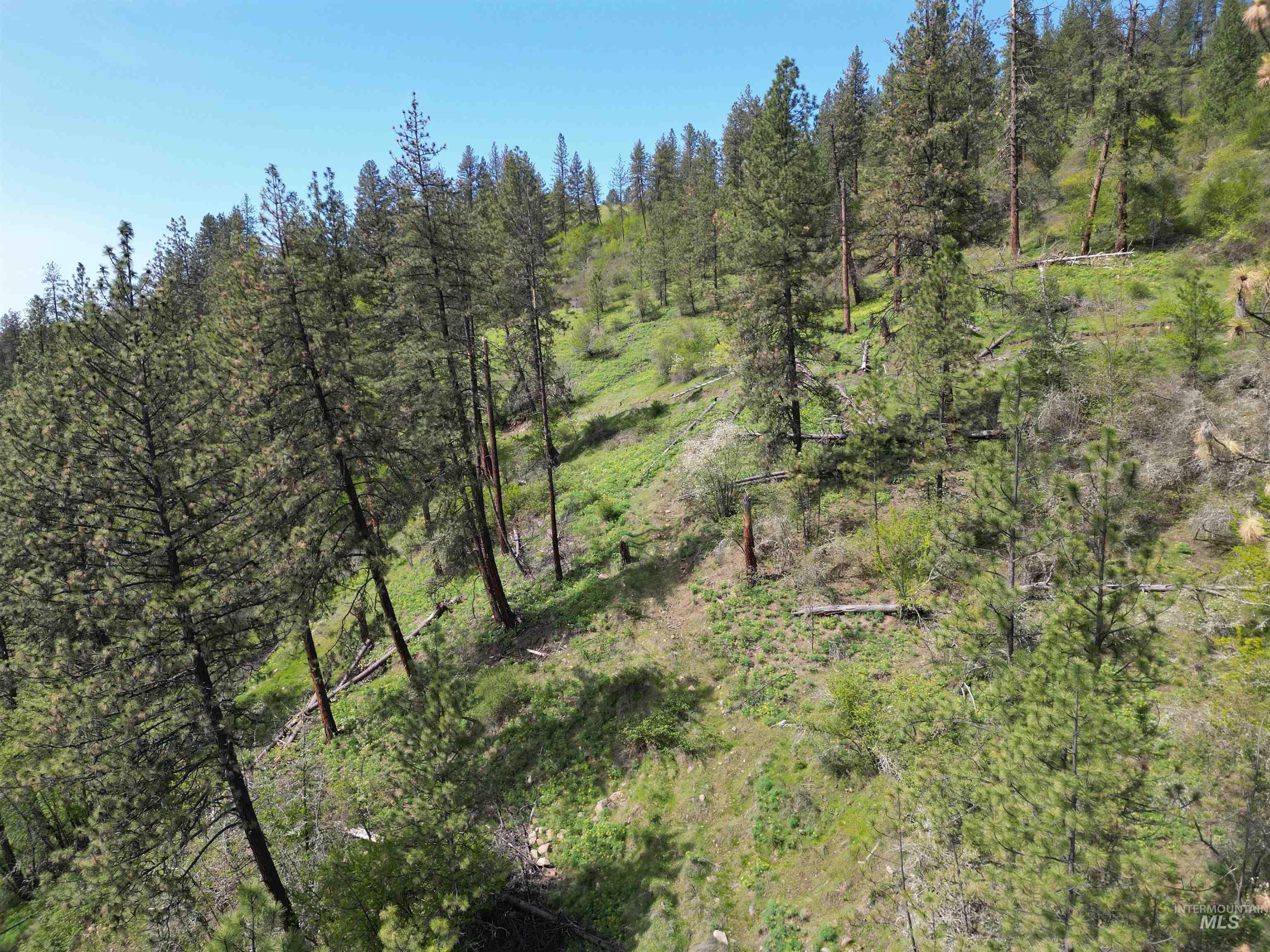 1620 & 0 Forsman Ave, Orofino, Idaho 83544, Land For Sale, Price $160,000,MLS 98982879