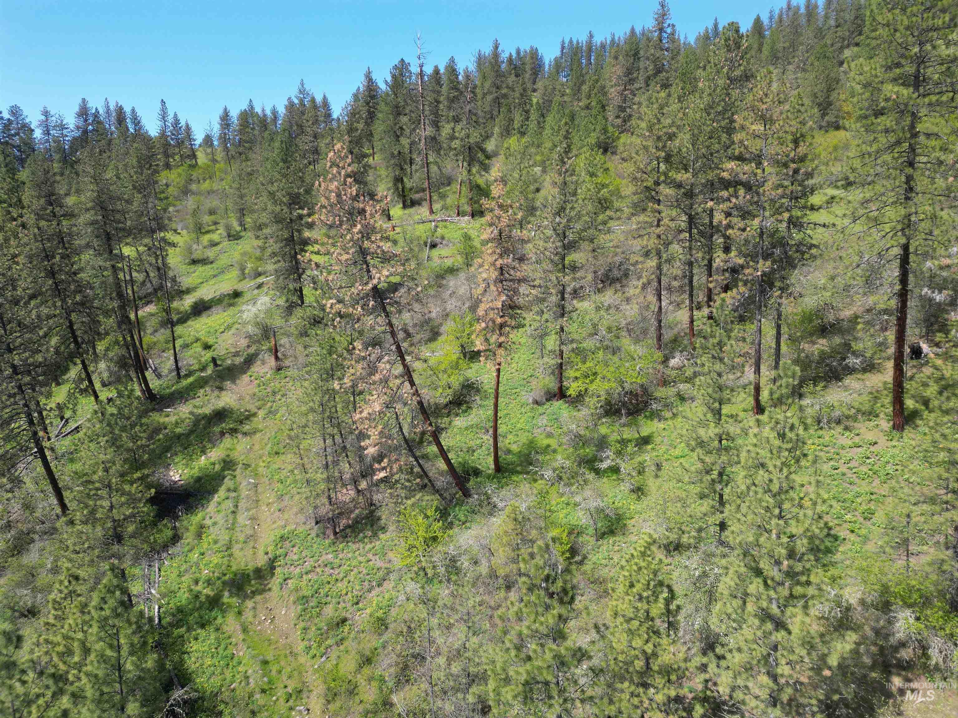 1620 & 0 Forsman Ave, Orofino, Idaho 83544, Land For Sale, Price $160,000,MLS 98982879