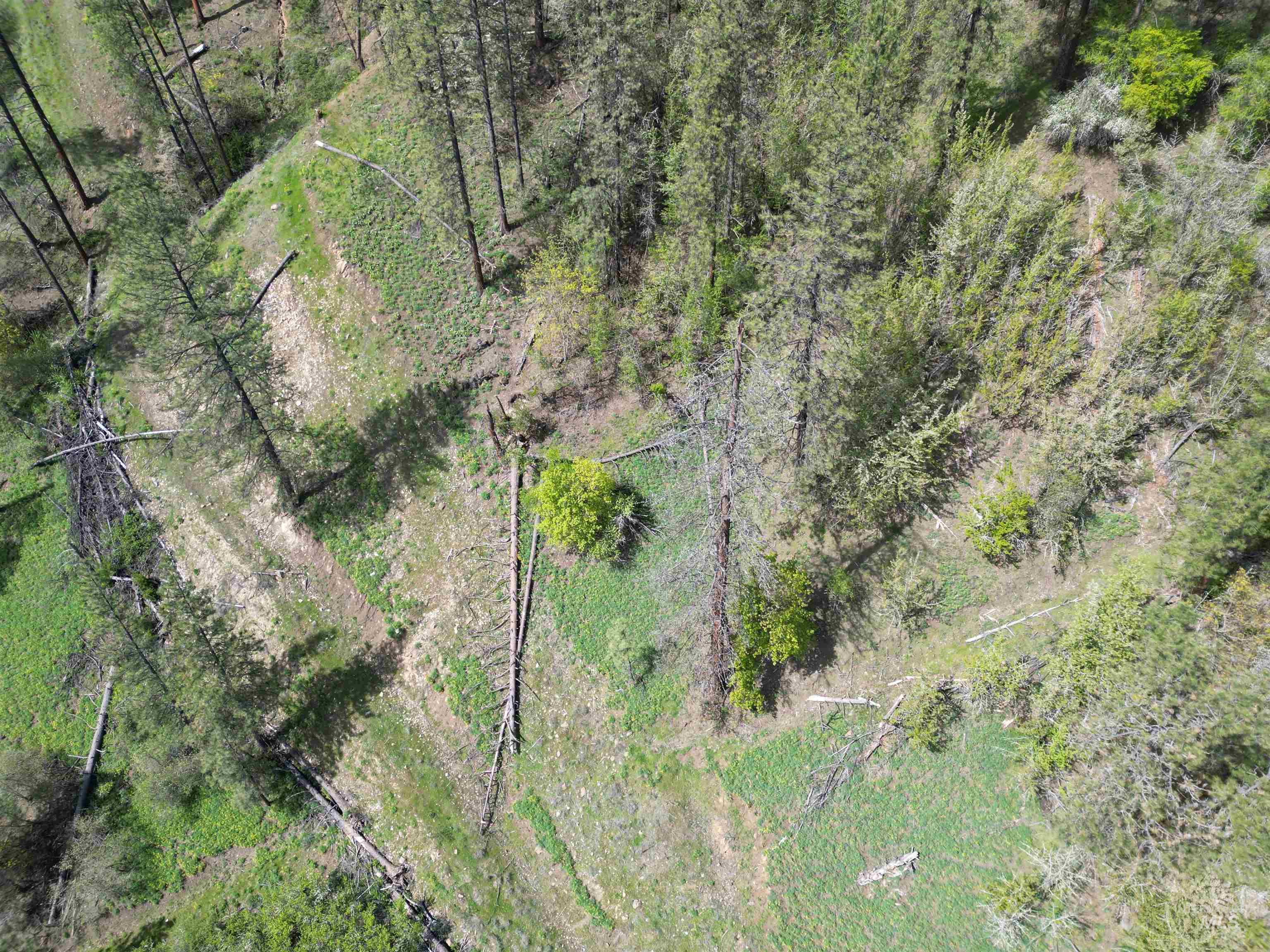 1620 & 0 Forsman Ave, Orofino, Idaho 83544, Land For Sale, Price $160,000,MLS 98982879