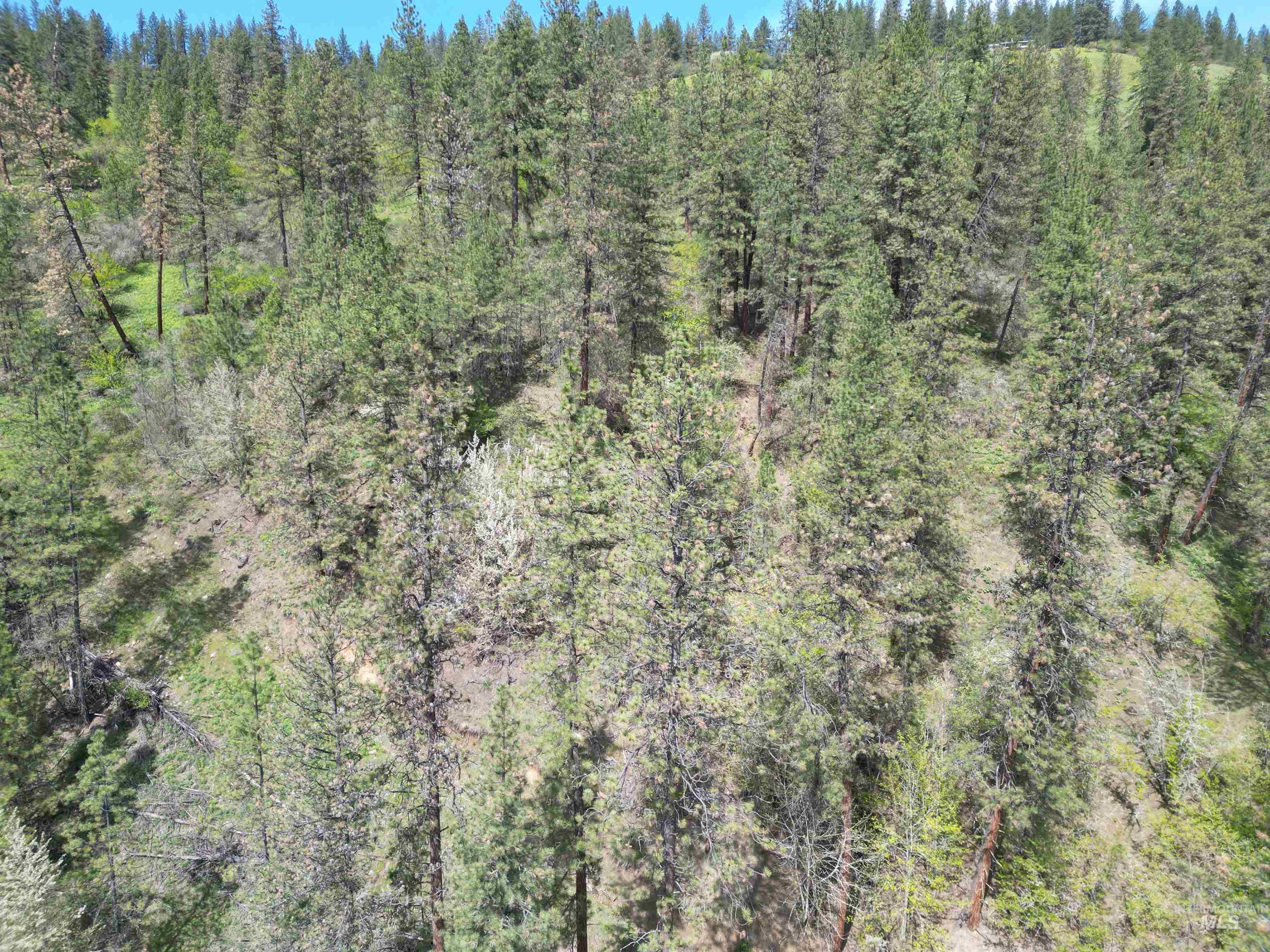 1620 & 0 Forsman Ave, Orofino, Idaho 83544, Land For Sale, Price $160,000,MLS 98982879