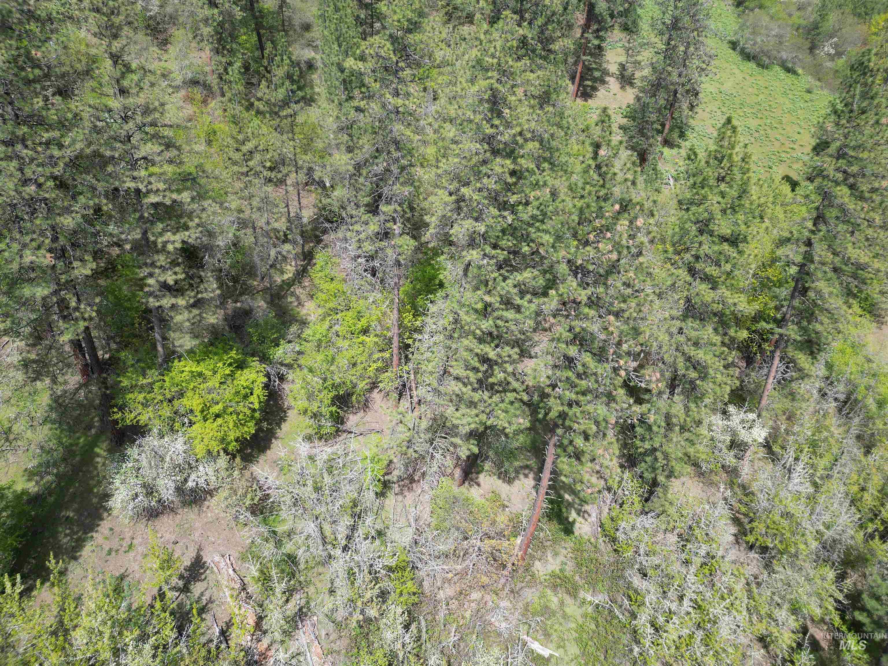 1620 & 0 Forsman Ave, Orofino, Idaho 83544, Land For Sale, Price $160,000,MLS 98982879