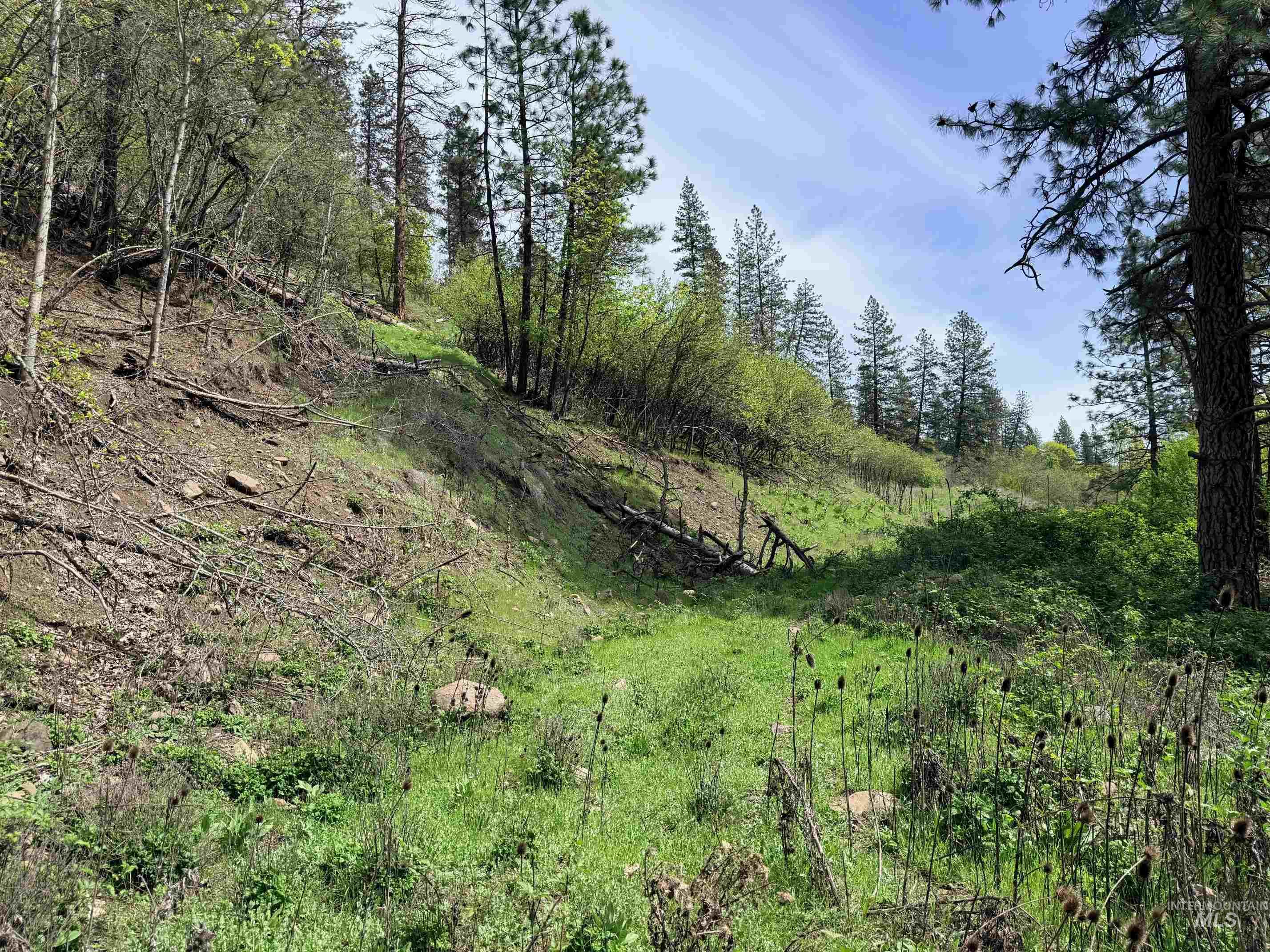 1620 & 0 Forsman Ave, Orofino, Idaho 83544, Land For Sale, Price $160,000,MLS 98982879