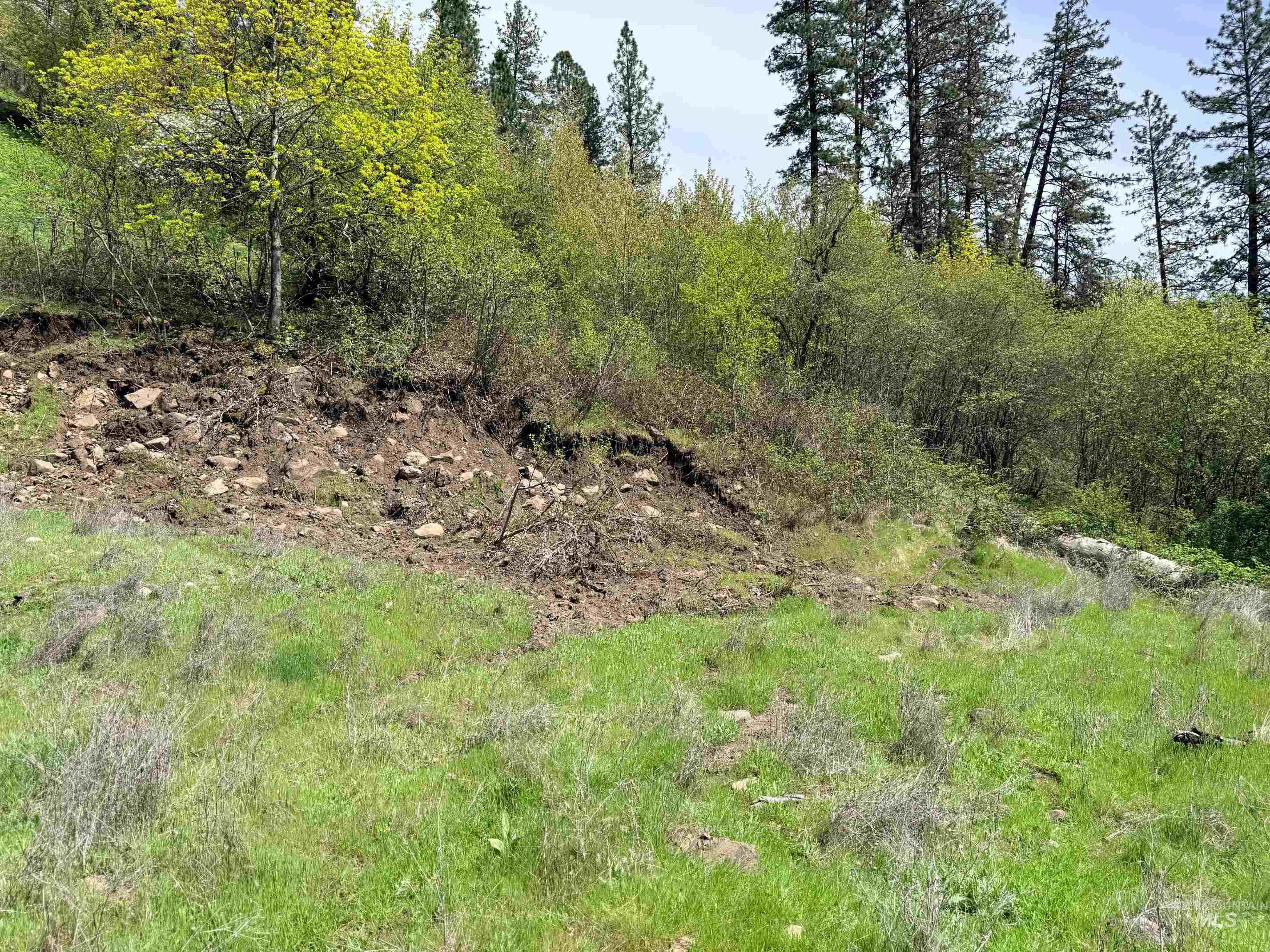 1620 & 0 Forsman Ave, Orofino, Idaho 83544, Land For Sale, Price $160,000,MLS 98982879