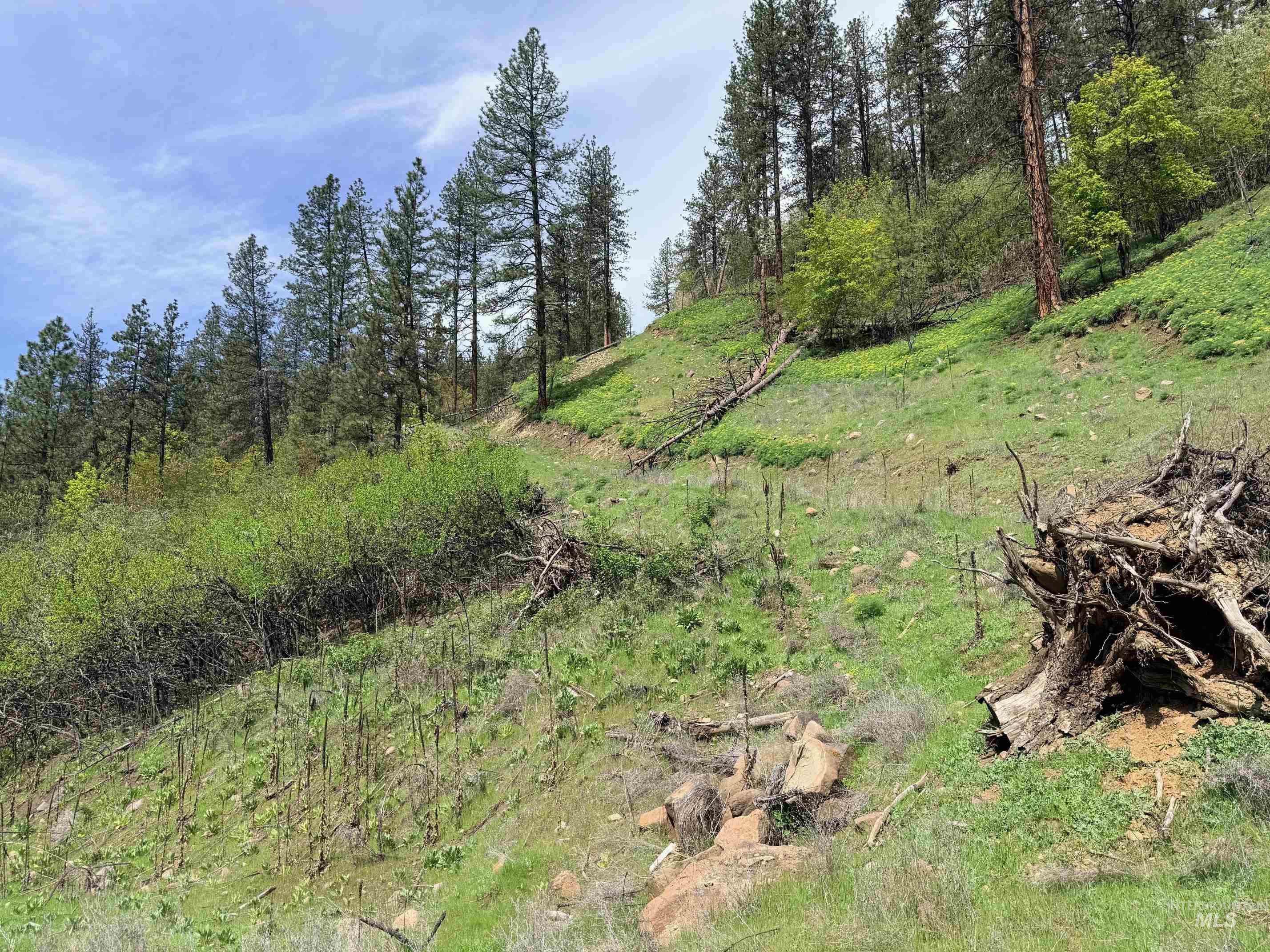 1620 & 0 Forsman Ave, Orofino, Idaho 83544, Land For Sale, Price $160,000,MLS 98982879