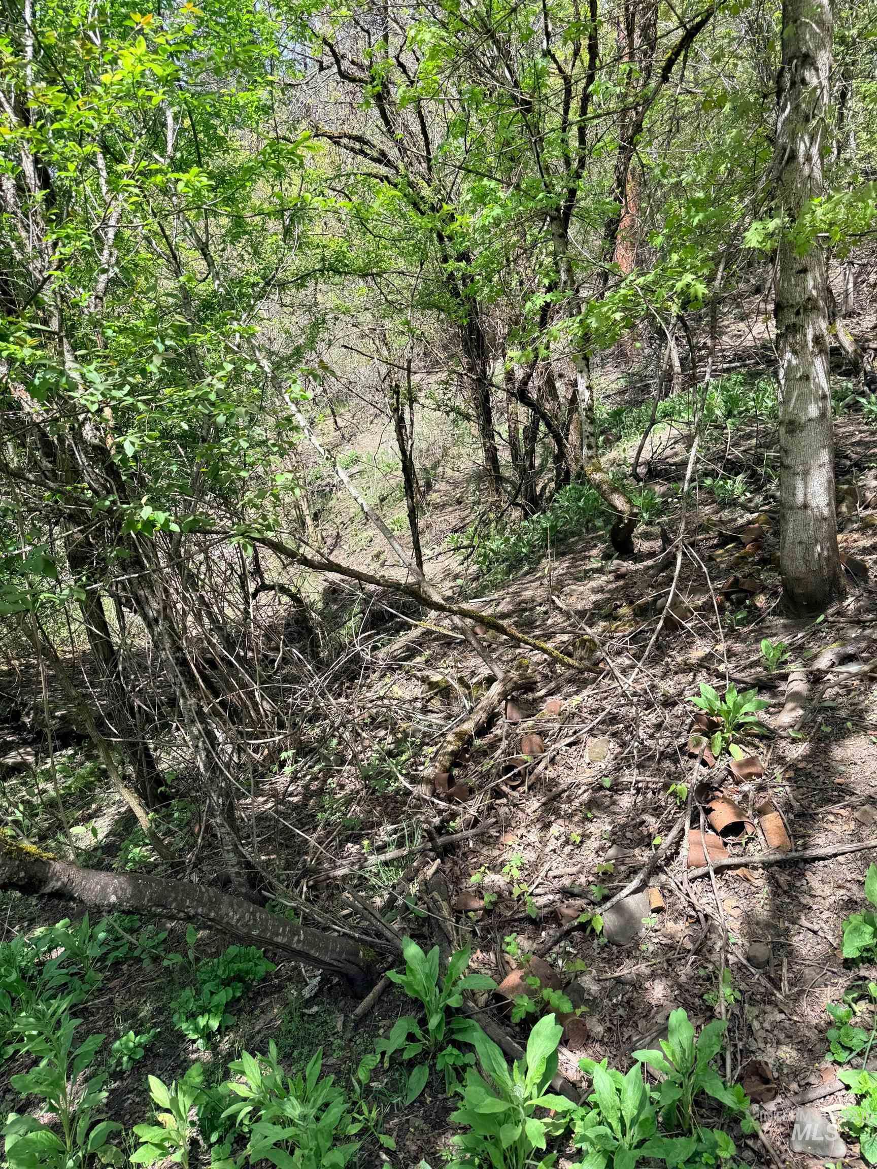 1620 & 0 Forsman Ave, Orofino, Idaho 83544, Land For Sale, Price $160,000,MLS 98982879