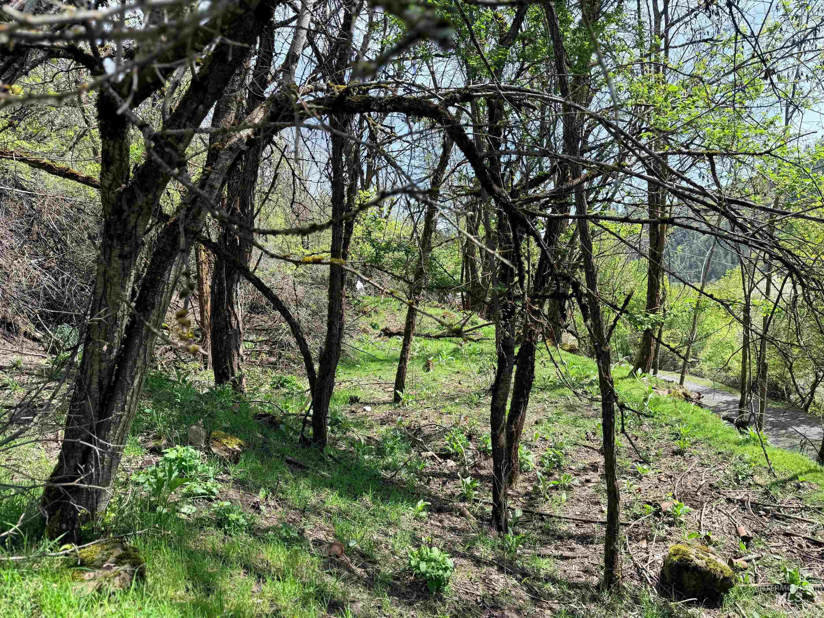 1620 & 0 Forsman Ave, Orofino, Idaho 83544, Land For Sale, Price $160,000,MLS 98982879