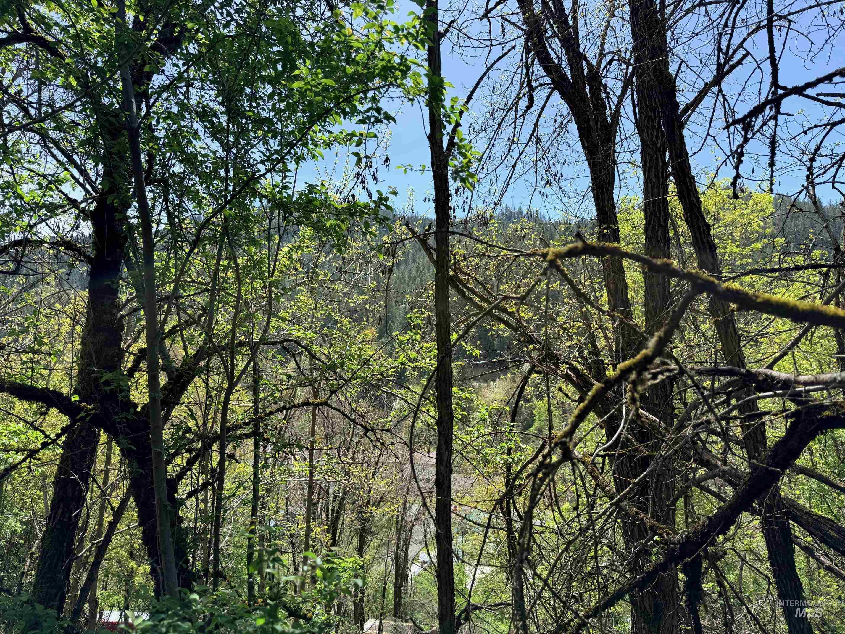 1620 & 0 Forsman Ave, Orofino, Idaho 83544, Land For Sale, Price $160,000,MLS 98982879