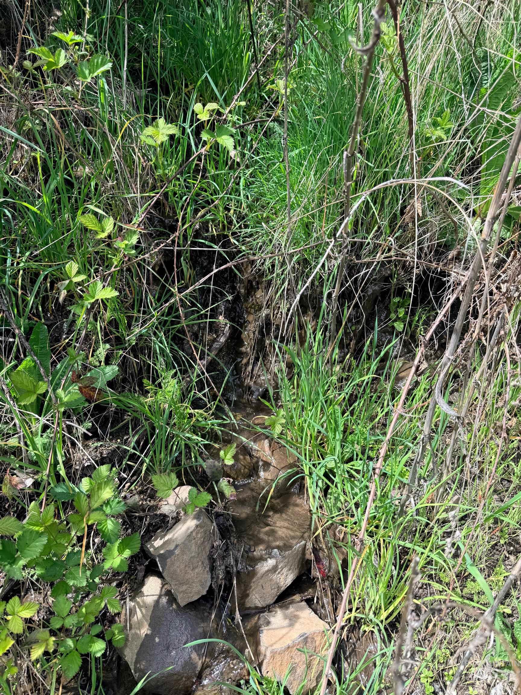 1620 & 0 Forsman Ave, Orofino, Idaho 83544, Land For Sale, Price $160,000,MLS 98982879