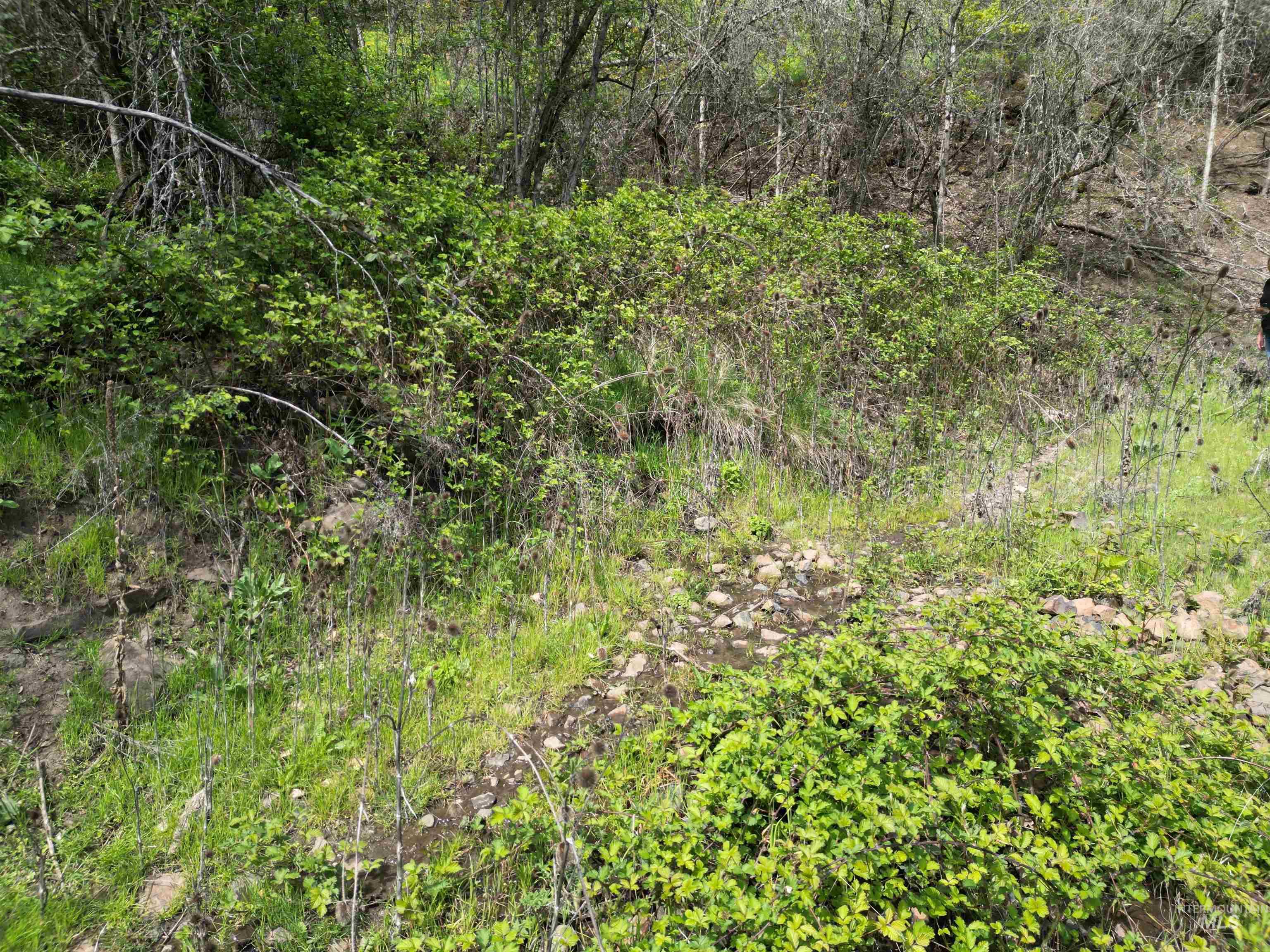 1620 & 0 Forsman Ave, Orofino, Idaho 83544, Land For Sale, Price $160,000,MLS 98982879