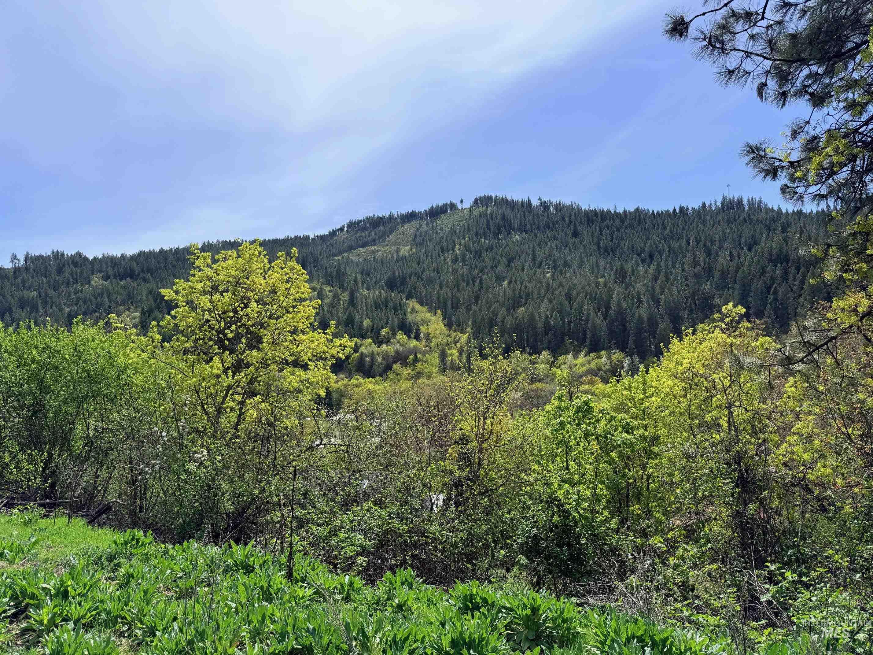1620 Forsman Ave, Orofino, Idaho 83544, Land For Sale, Price $130,000,MLS 98982881
