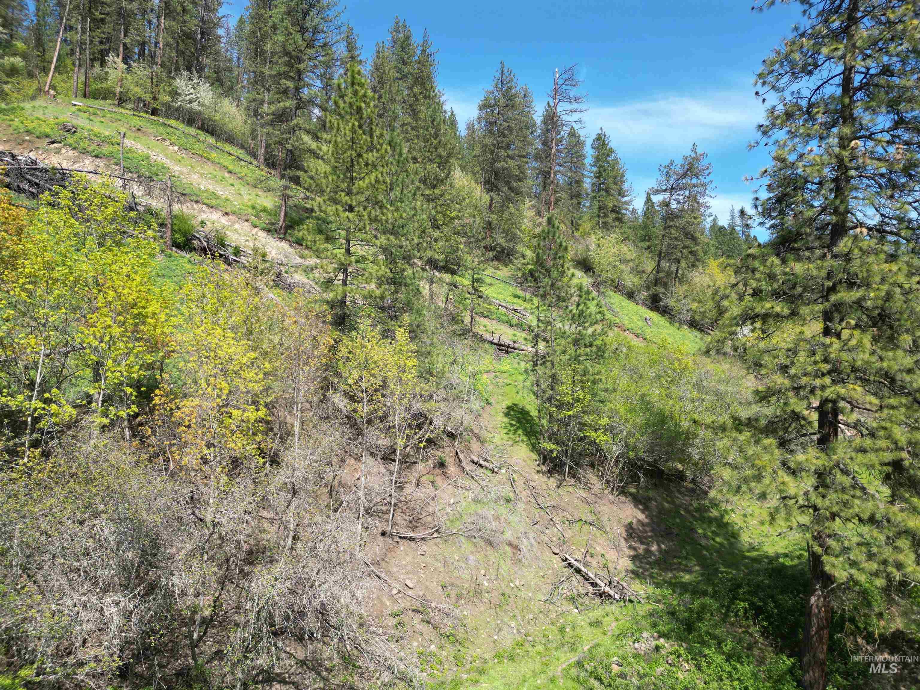 1620 Forsman Ave, Orofino, Idaho 83544, Land For Sale, Price $130,000,MLS 98982881
