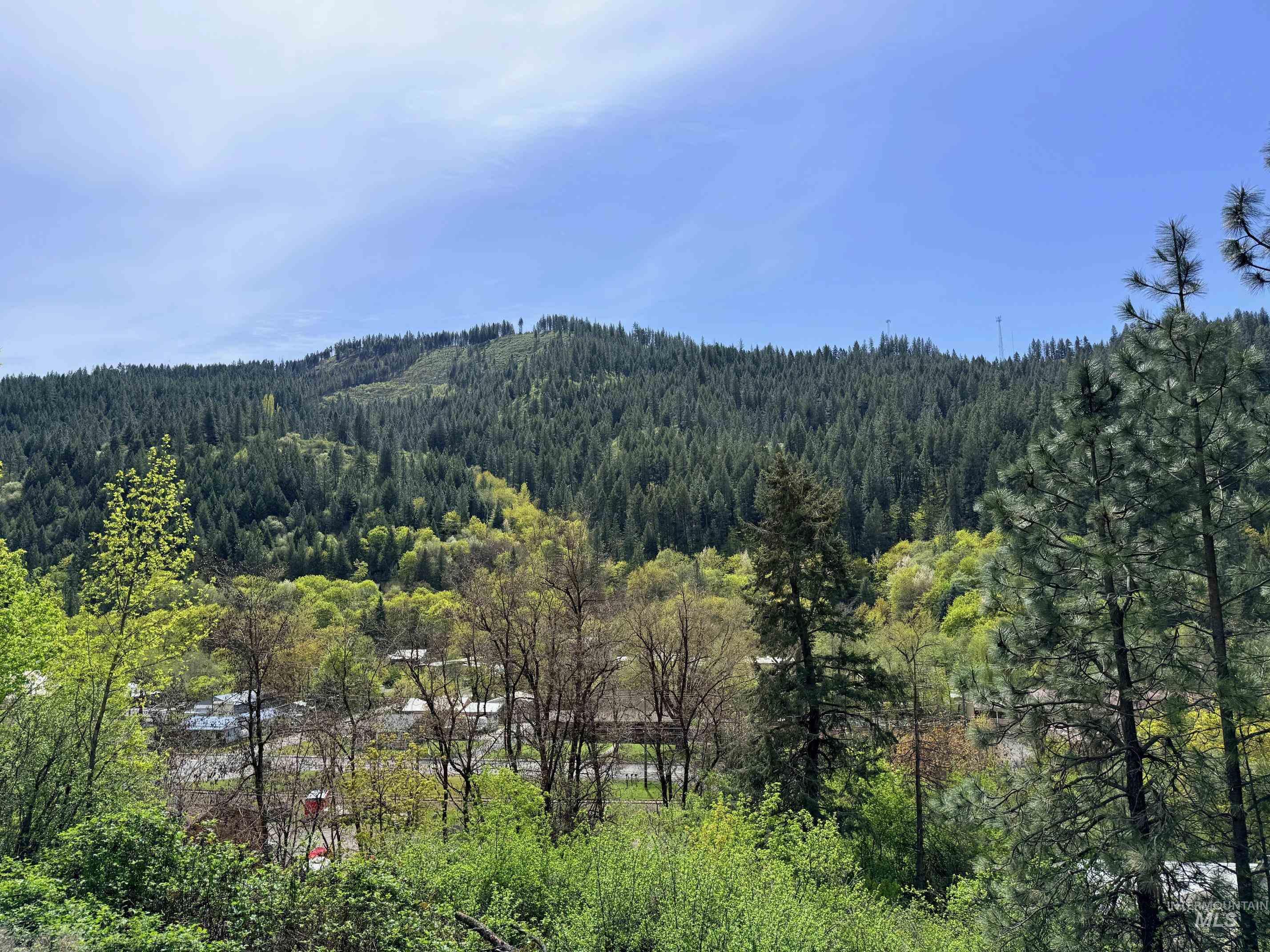 1620 Forsman Ave, Orofino, Idaho 83544, Land For Sale, Price $130,000,MLS 98982881