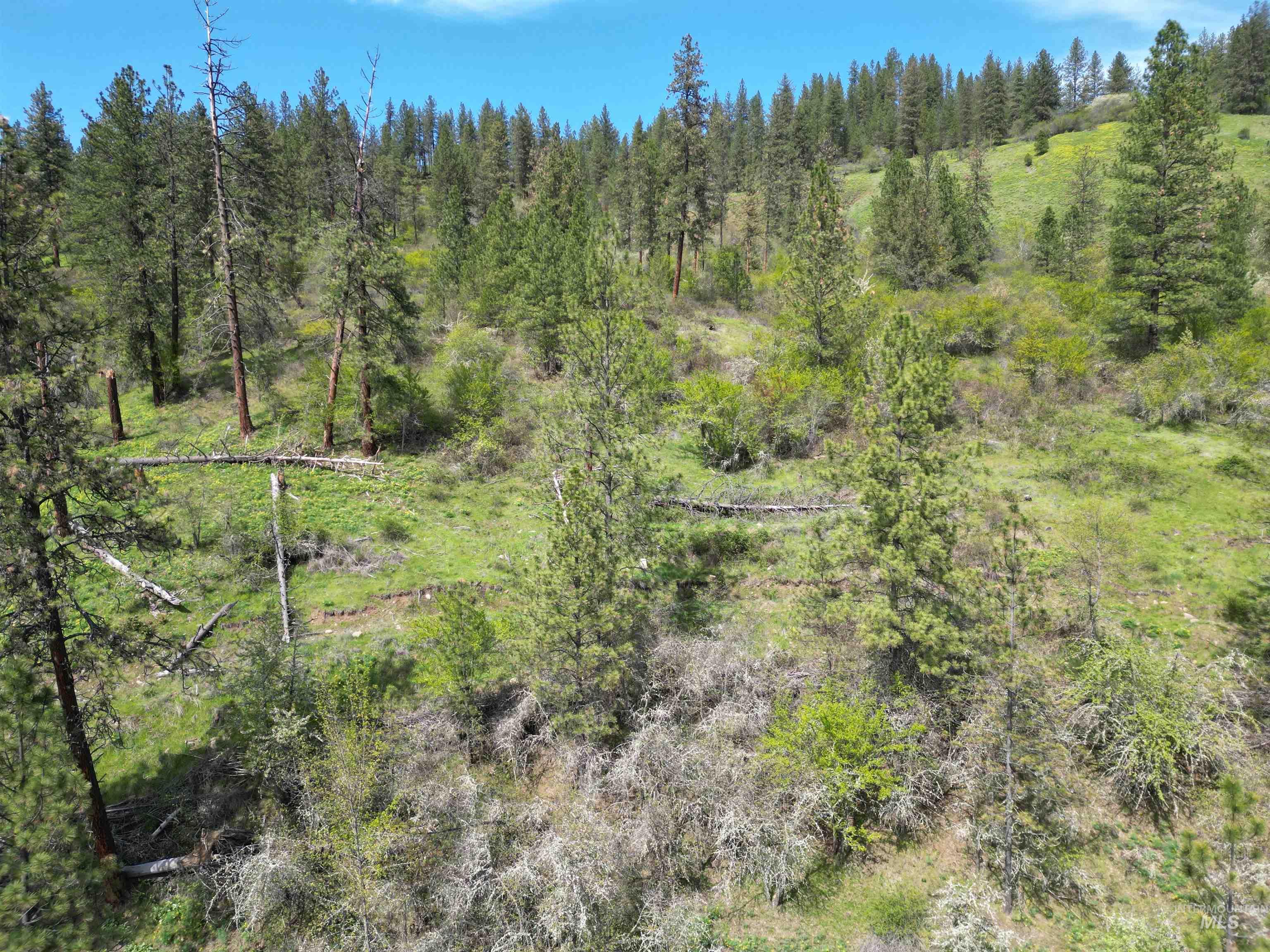 1620 Forsman Ave, Orofino, Idaho 83544, Land For Sale, Price $130,000,MLS 98982881