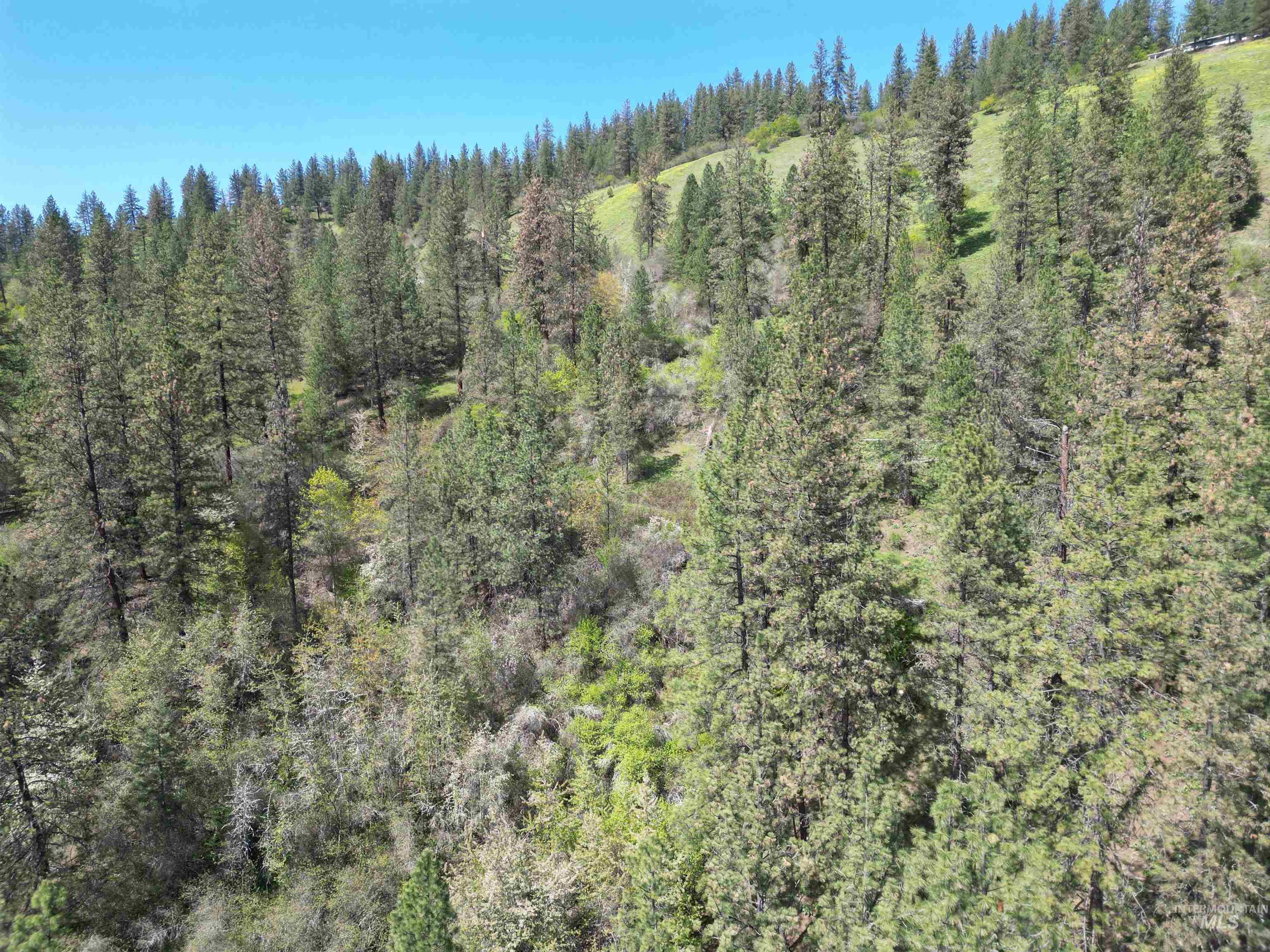 1620 Forsman Ave, Orofino, Idaho 83544, Land For Sale, Price $130,000,MLS 98982881