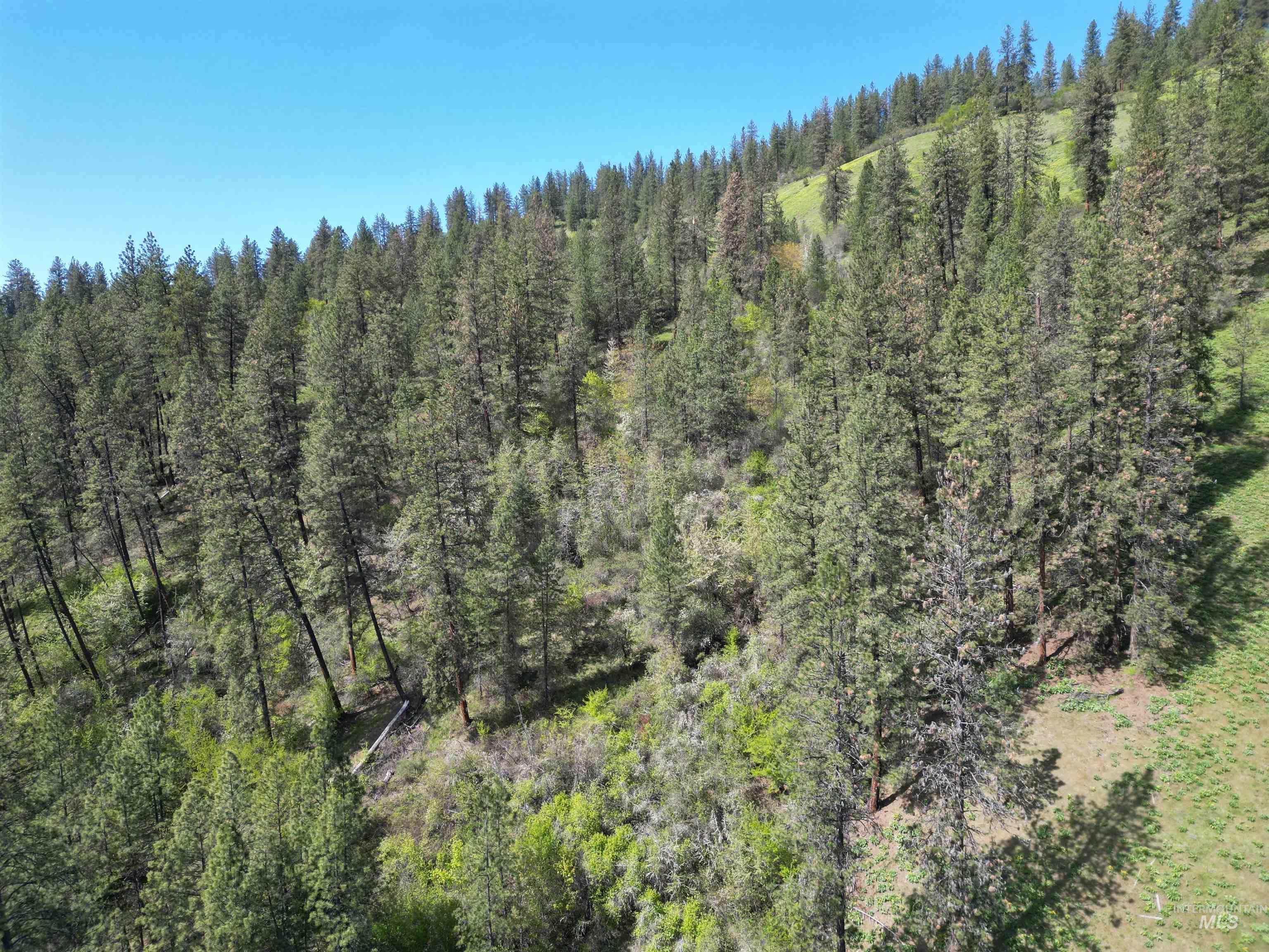 1620 Forsman Ave, Orofino, Idaho 83544, Land For Sale, Price $130,000,MLS 98982881