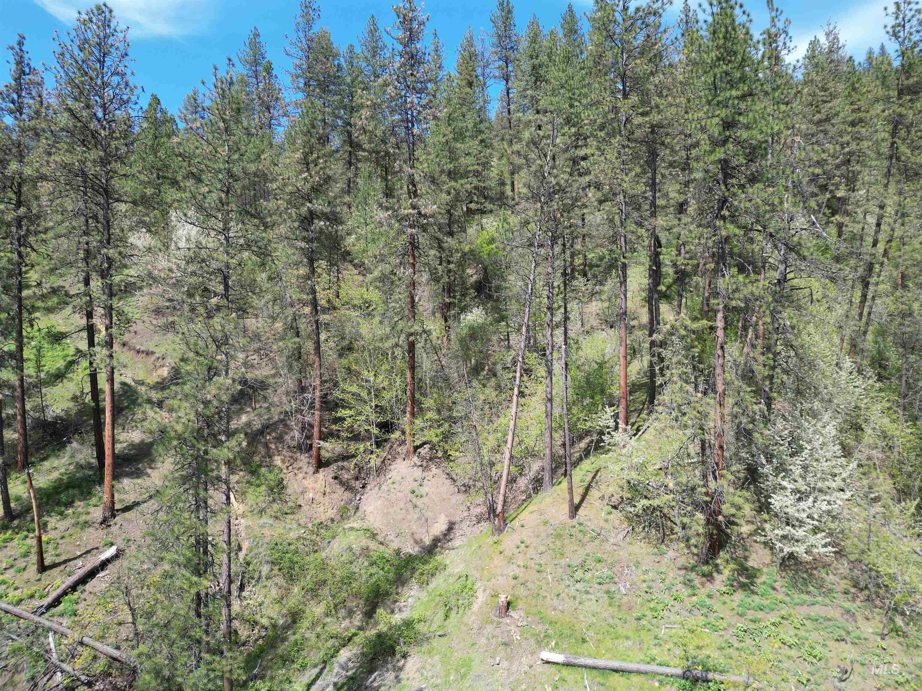 1620 Forsman Ave, Orofino, Idaho 83544, Land For Sale, Price $130,000,MLS 98982881