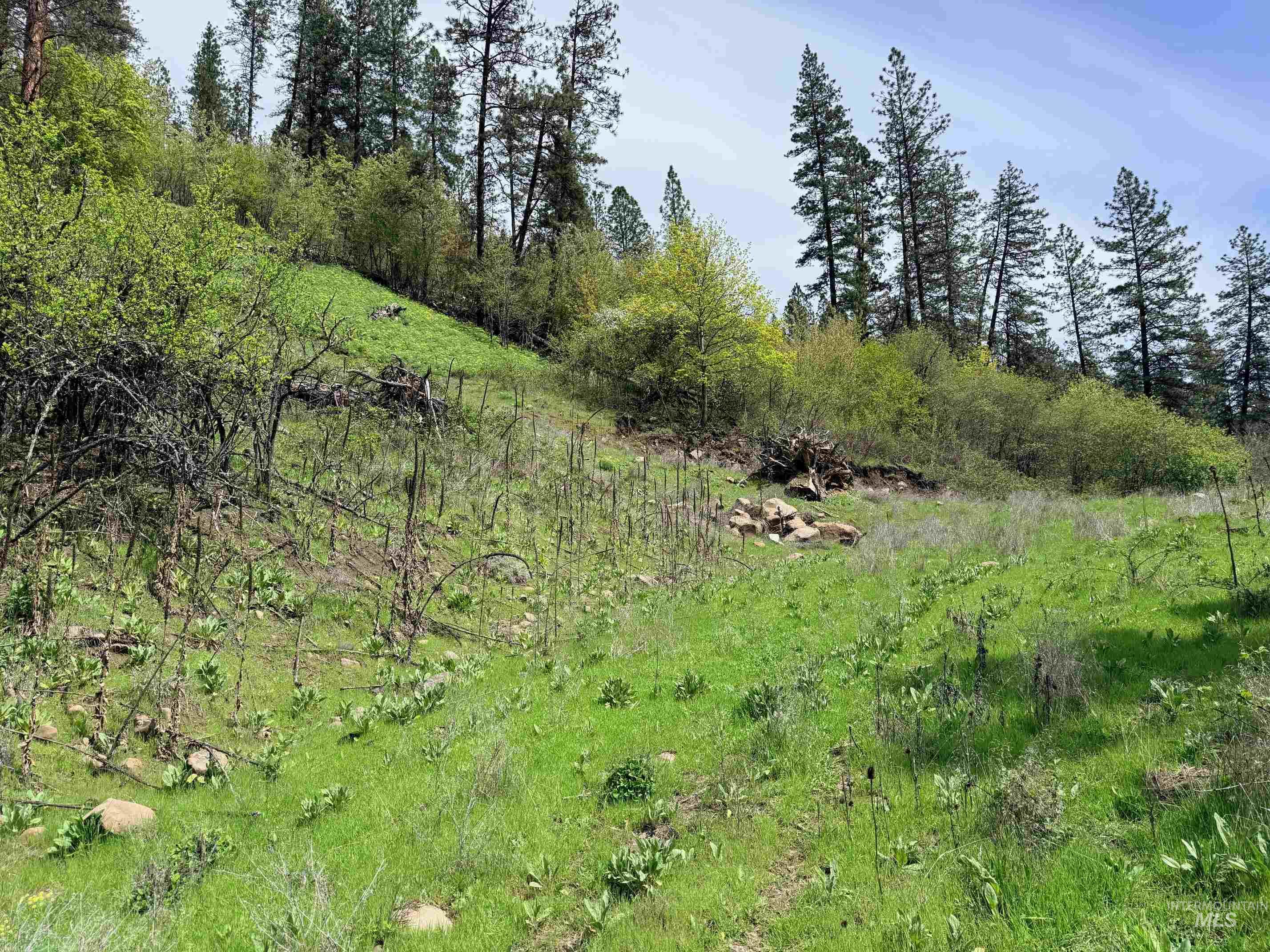 1620 Forsman Ave, Orofino, Idaho 83544, Land For Sale, Price $130,000,MLS 98982881
