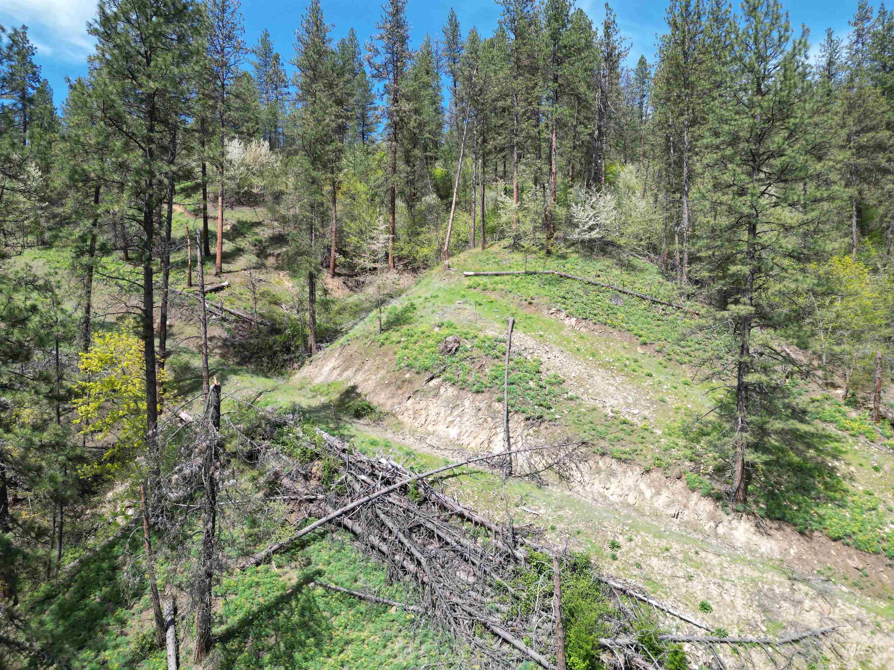 1620 Forsman Ave, Orofino, Idaho 83544, Land For Sale, Price $130,000,MLS 98982881