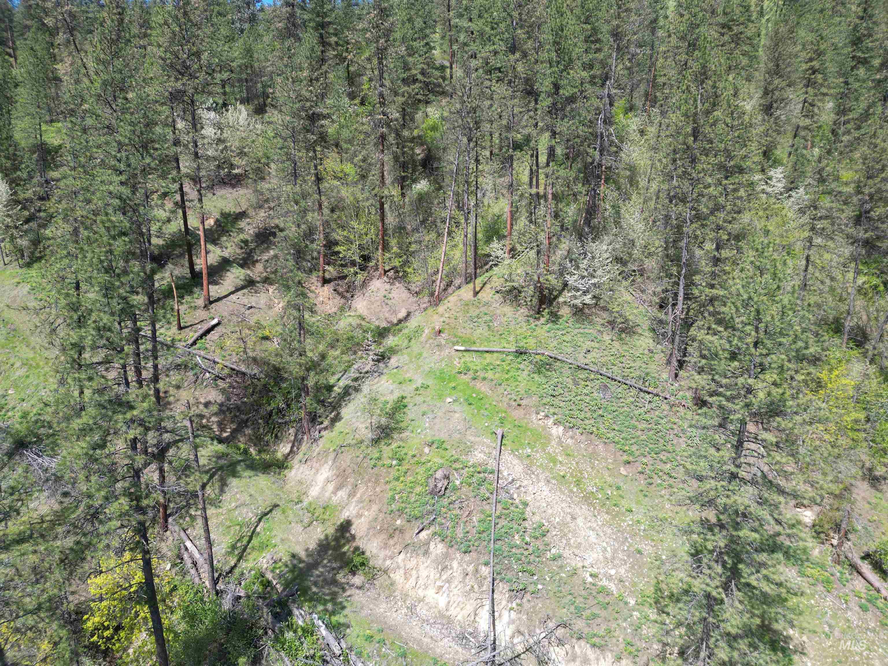 1620 Forsman Ave, Orofino, Idaho 83544, Land For Sale, Price $130,000,MLS 98982881