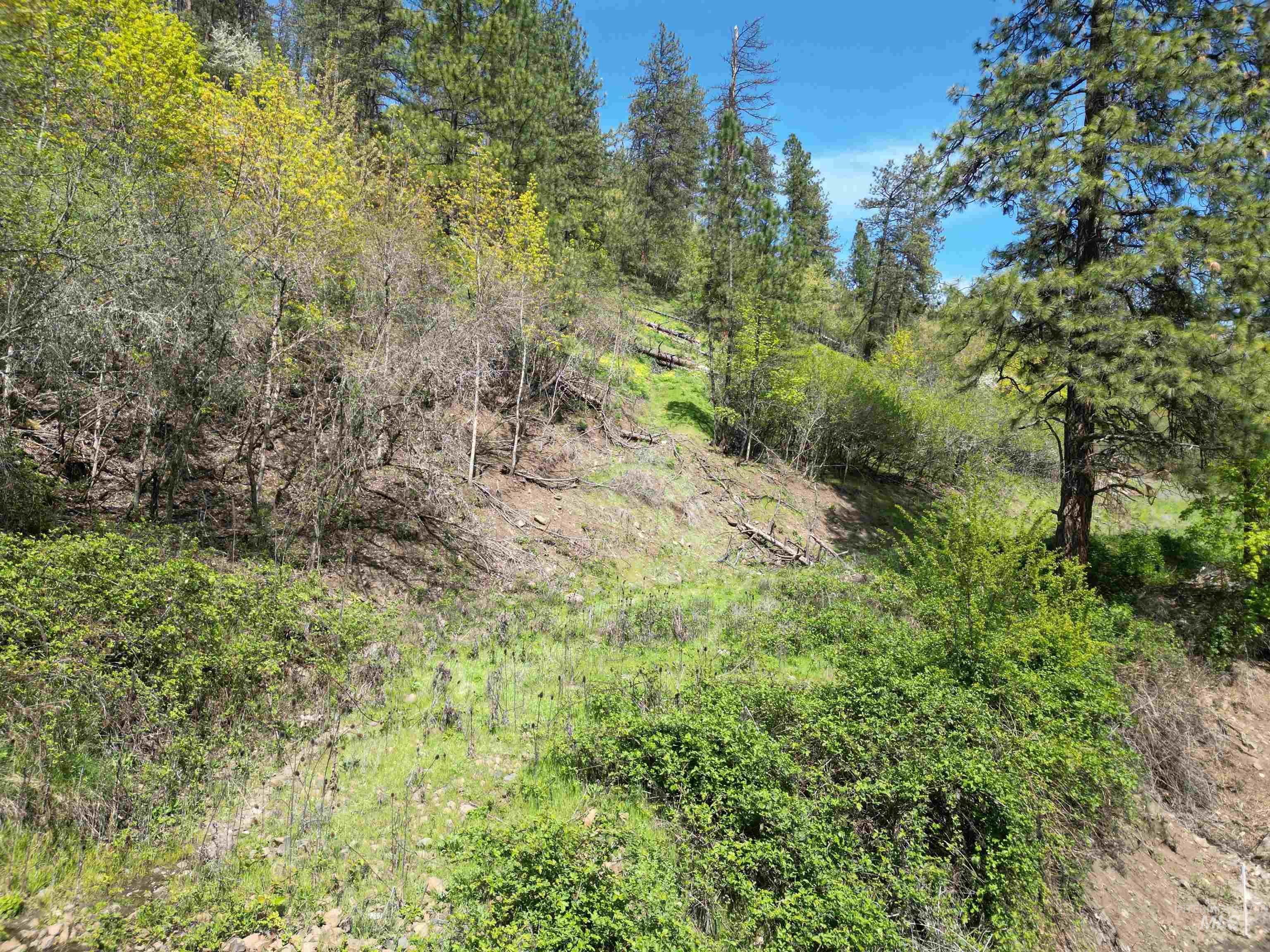1620 Forsman Ave, Orofino, Idaho 83544, Land For Sale, Price $130,000,MLS 98982881