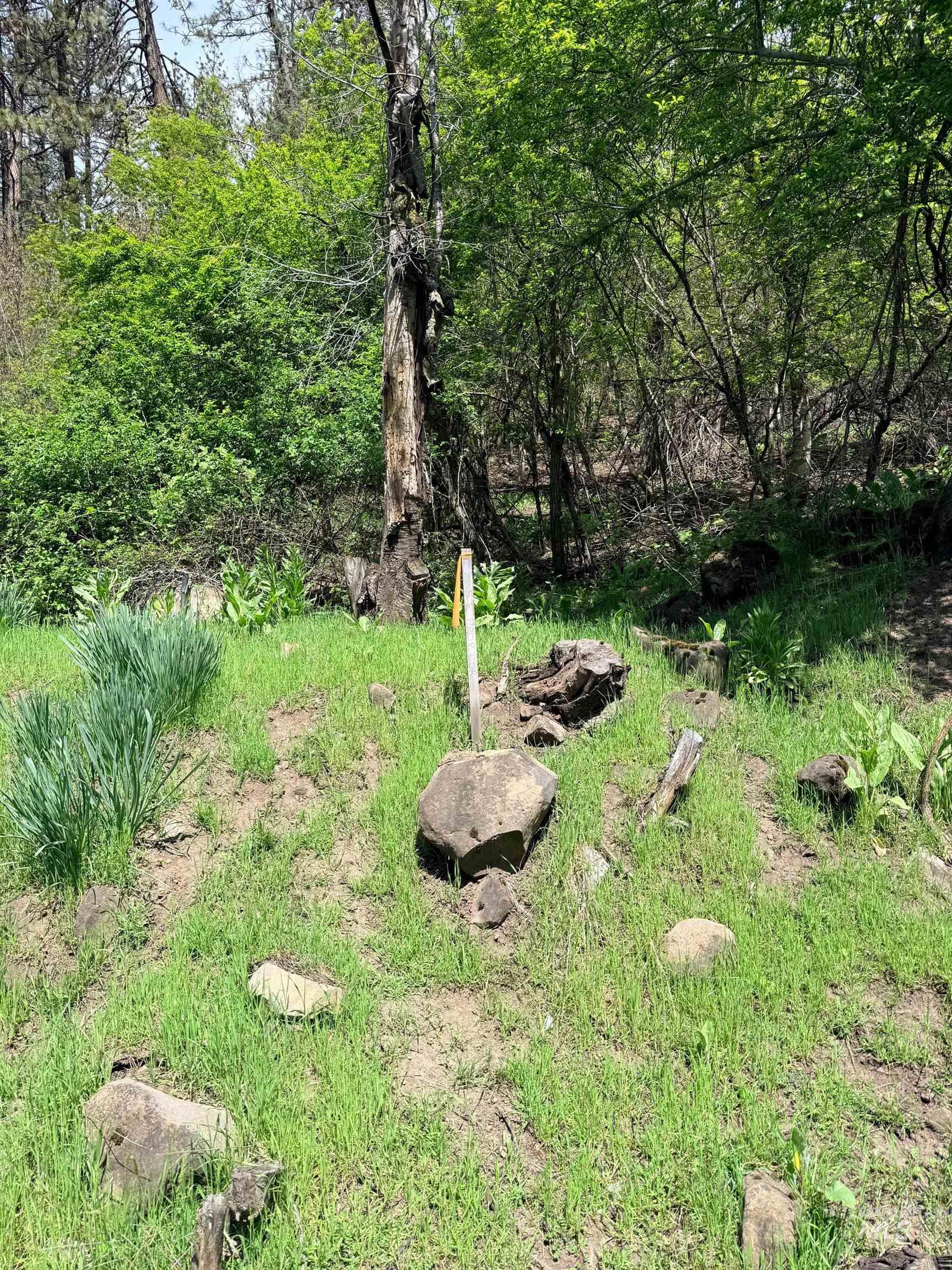 0 Forsman Ave, Orofino, Idaho 83544, Land For Sale, Price $30,000,MLS 98982882