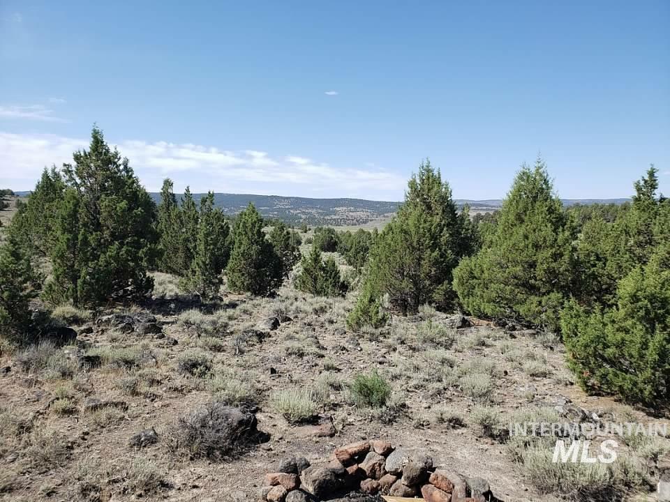 Tract 44 Triangle Ranch, Murphy, Idaho 83650, Land For Sale, Price $145,000,MLS 98982914