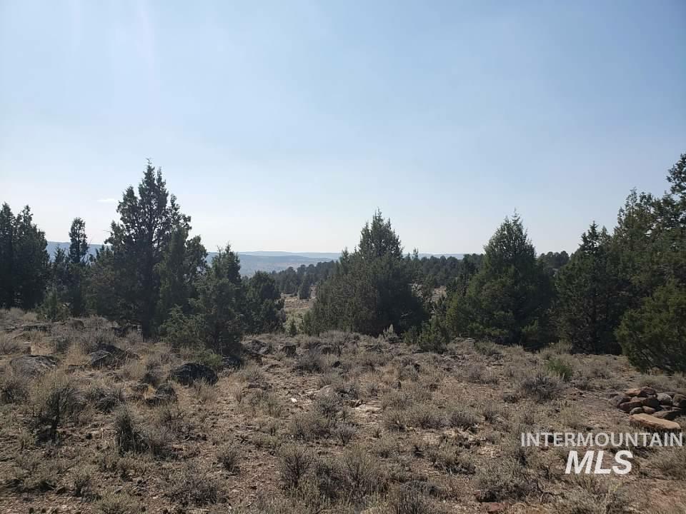 Tract 44 Triangle Ranch, Murphy, Idaho 83650, Land For Sale, Price $145,000,MLS 98982914