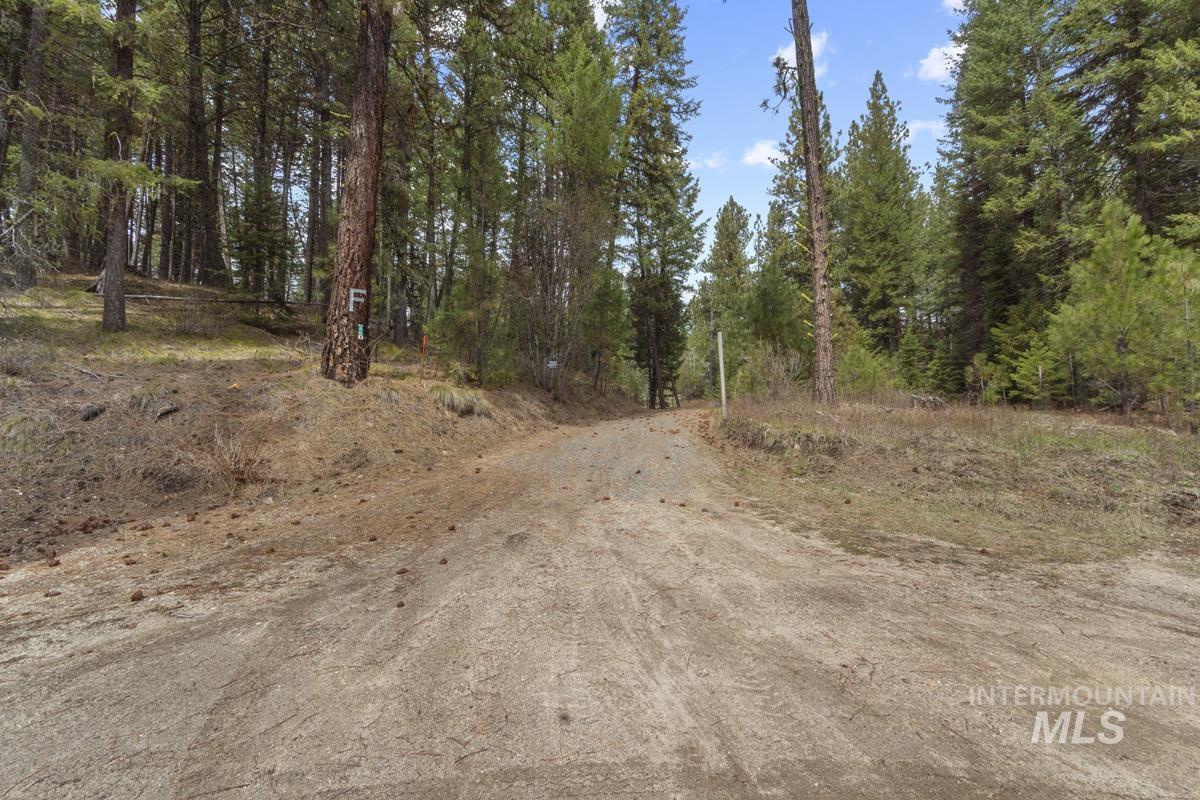 46 Blue Spruce Lane, Cascade, Idaho 83611, 2 Bedrooms, 1 Bathroom, Residential For Sale, Price $525,000, 98982915