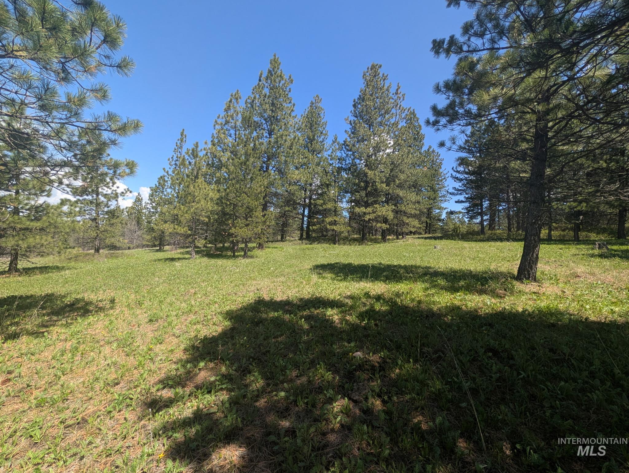 TBD Jackpine Rd, CottonWood, Idaho 83522, Land For Sale, Price $139,500,MLS 98982935