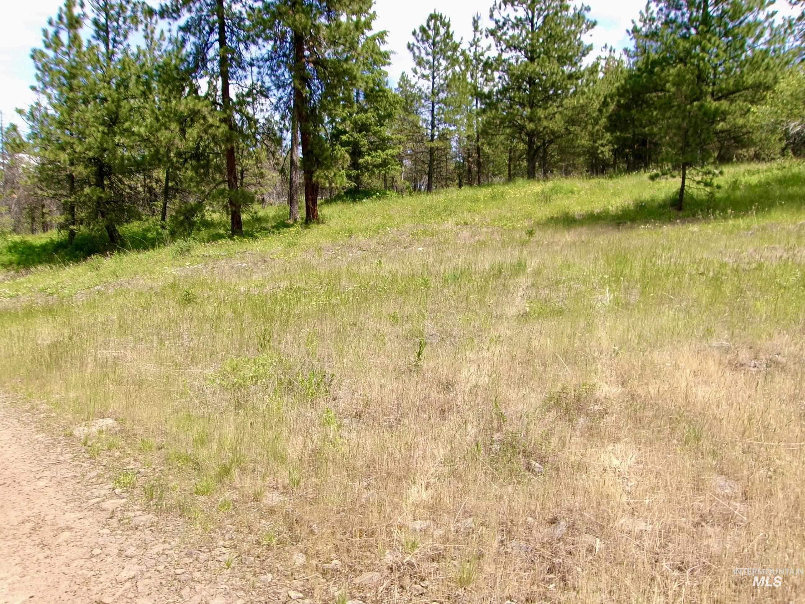 TBD Jackpine Rd, CottonWood, Idaho 83522, Land For Sale, Price $139,500, 98982935