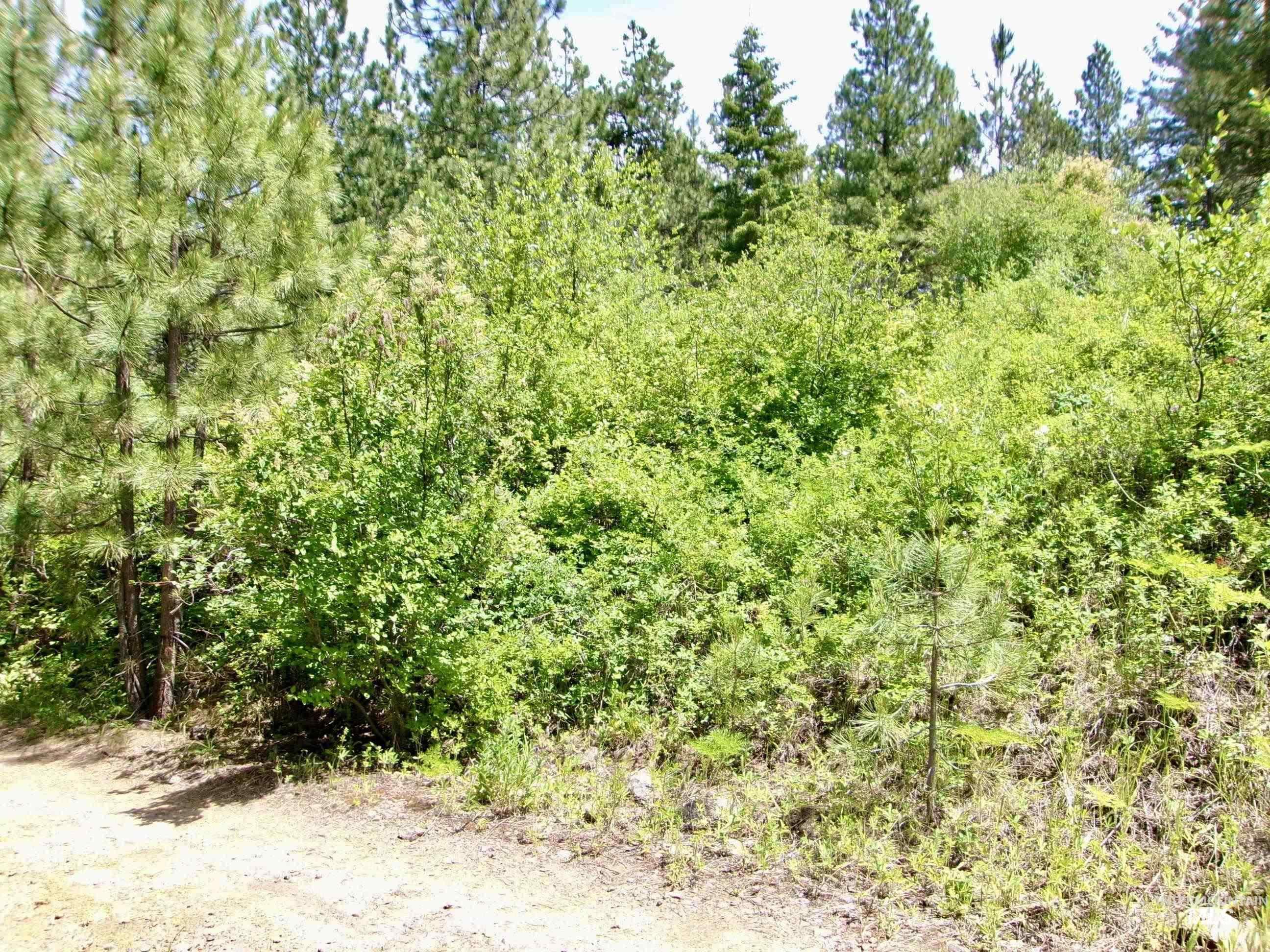 TBD Jackpine Rd, CottonWood, Idaho 83522, Land For Sale, Price $139,500, 98982935